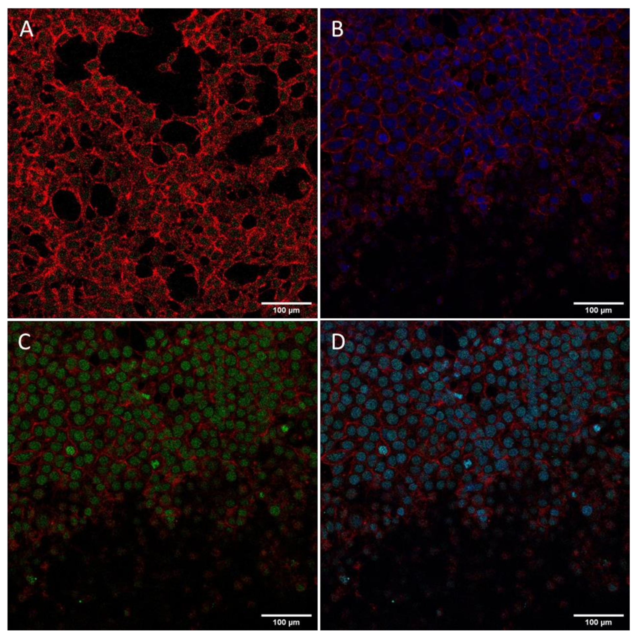 Biomolecules 10 00007 g011 Biomolecules 10 00007 g011