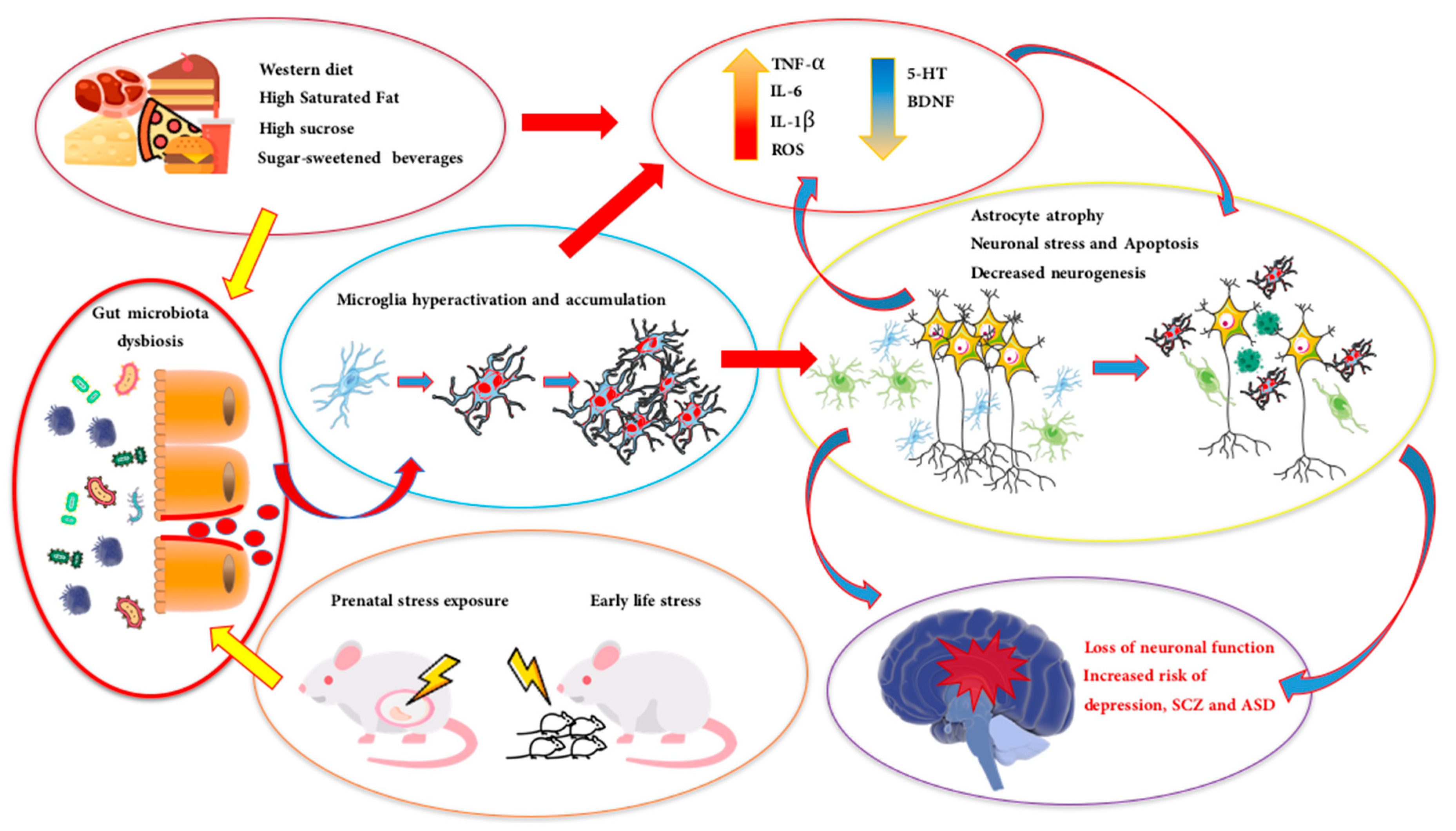 Biomolecules 10 00012 g001 Biomolecules 10 00012 g001