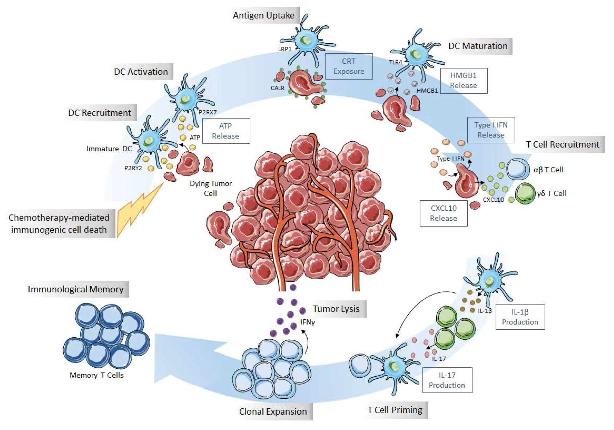 Biomolecules 10 00013 g001