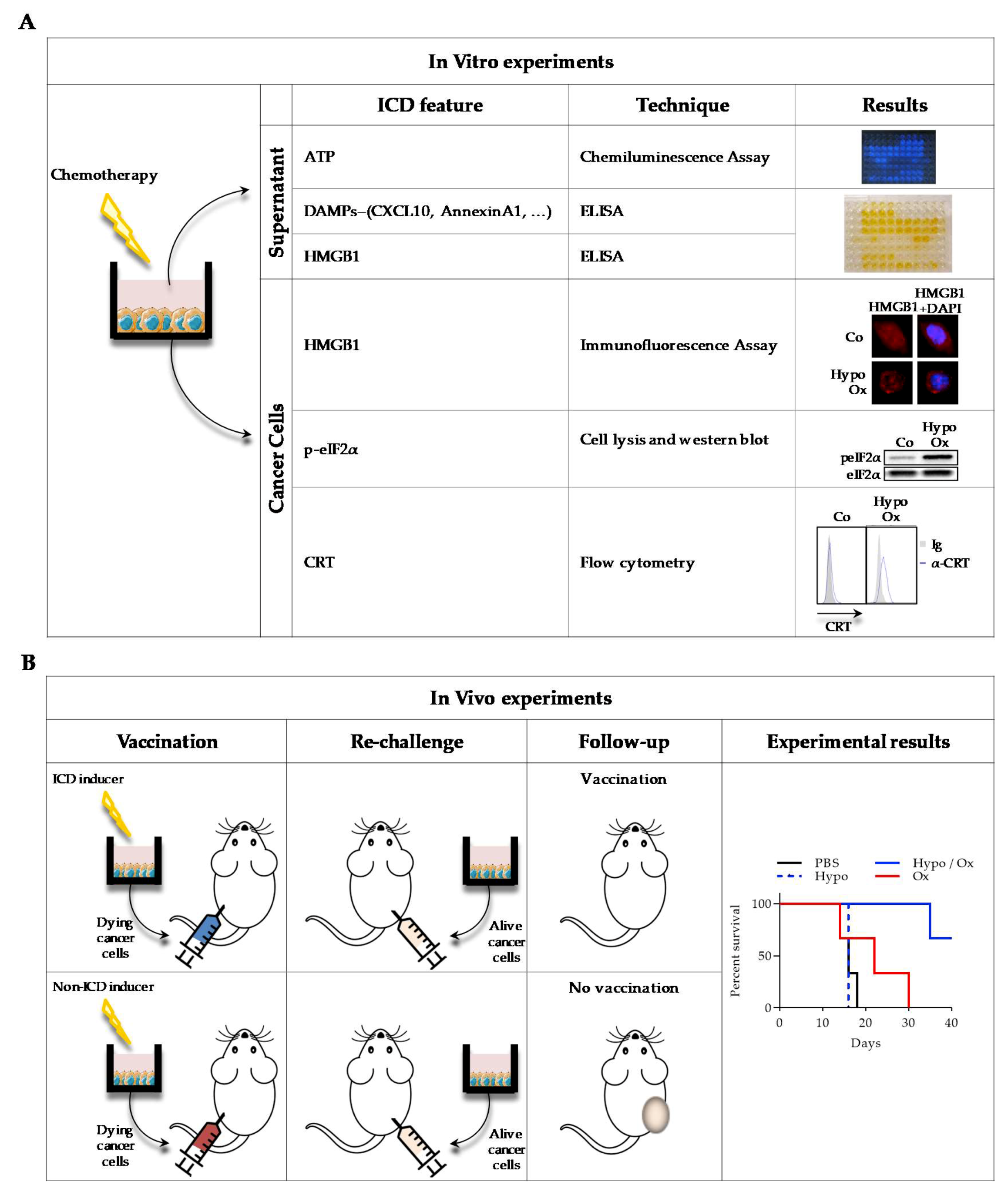 Biomolecules 10 00013 g002