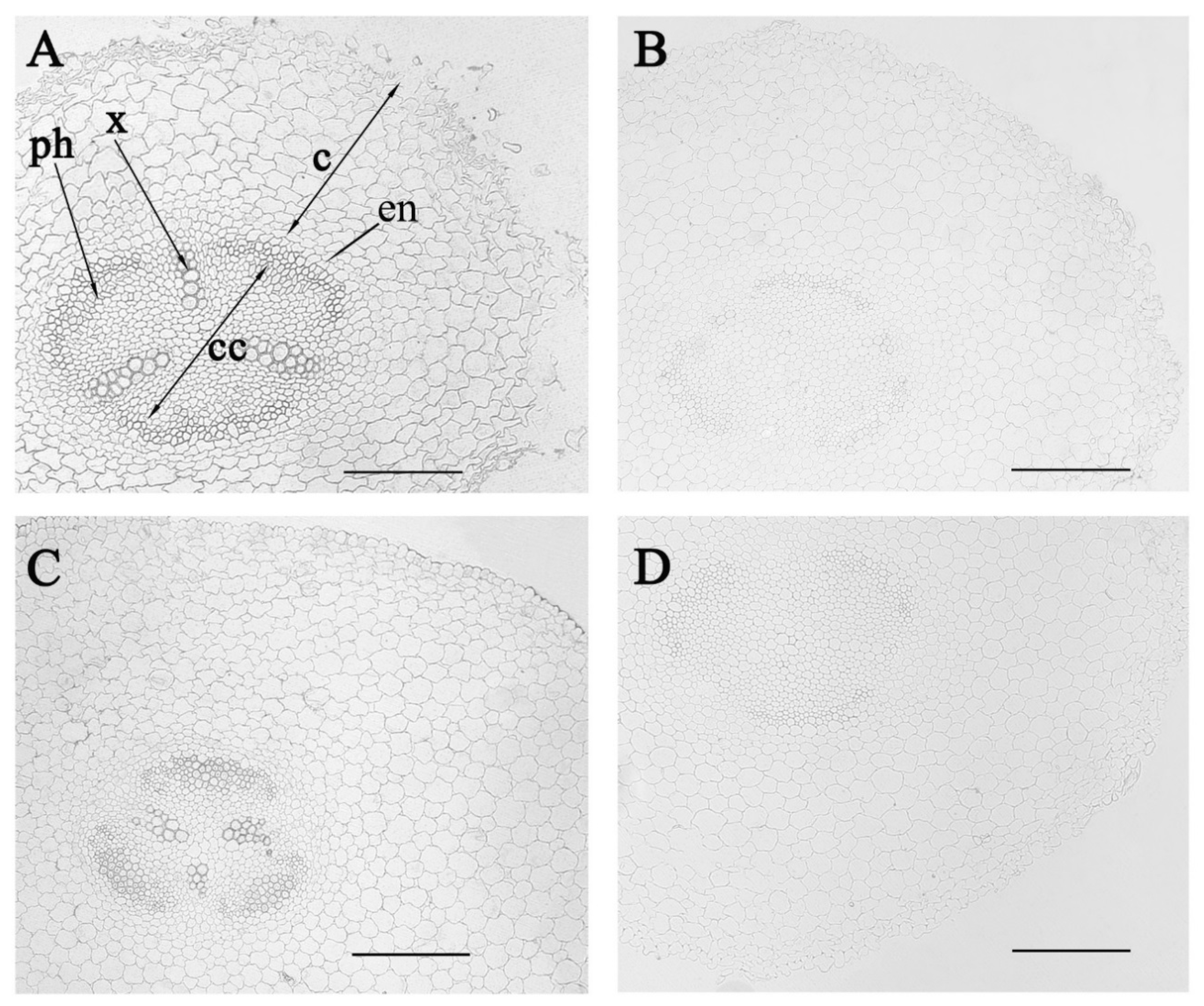 Biomolecules 10 00015 g001