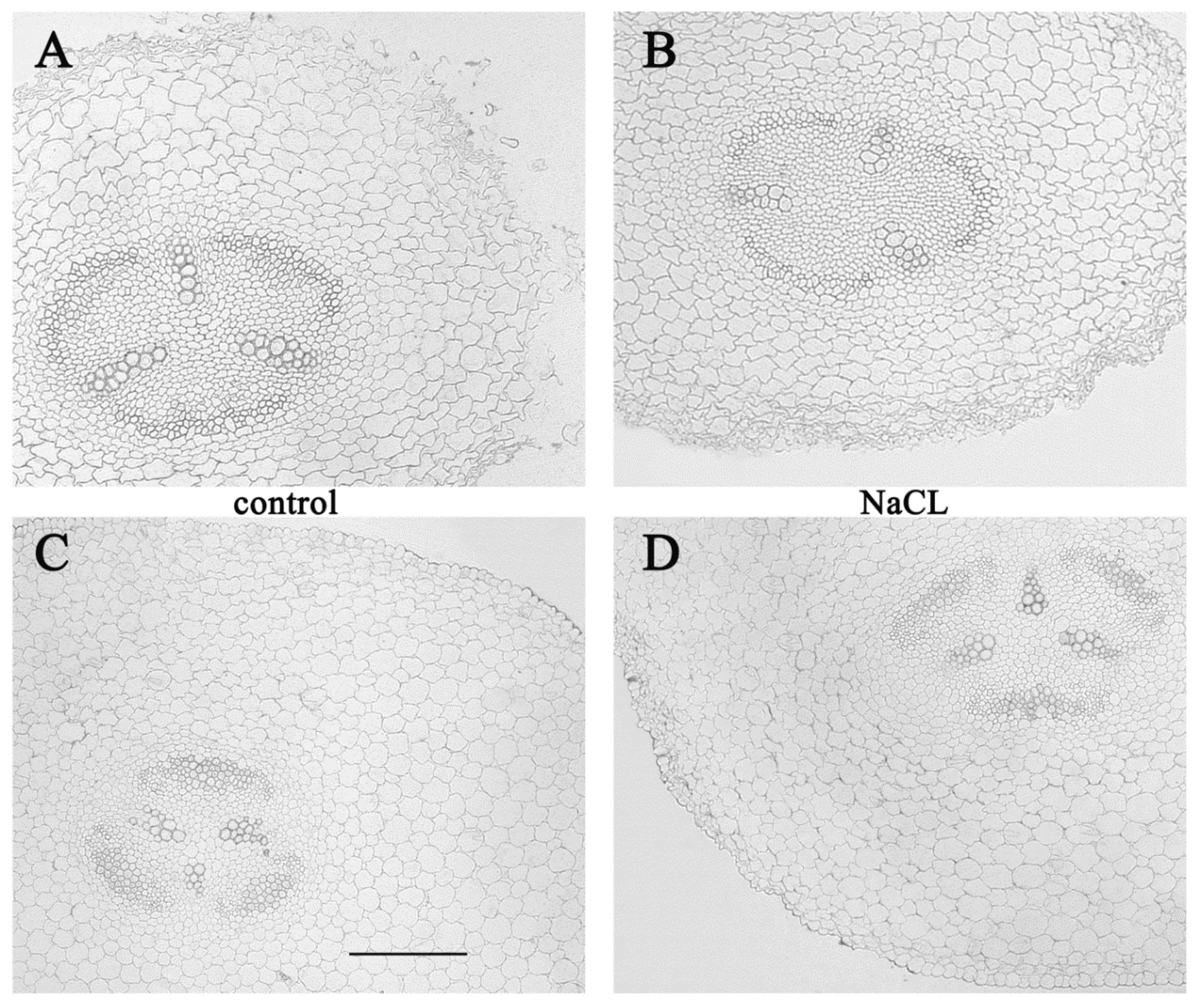 Biomolecules 10 00015 g002