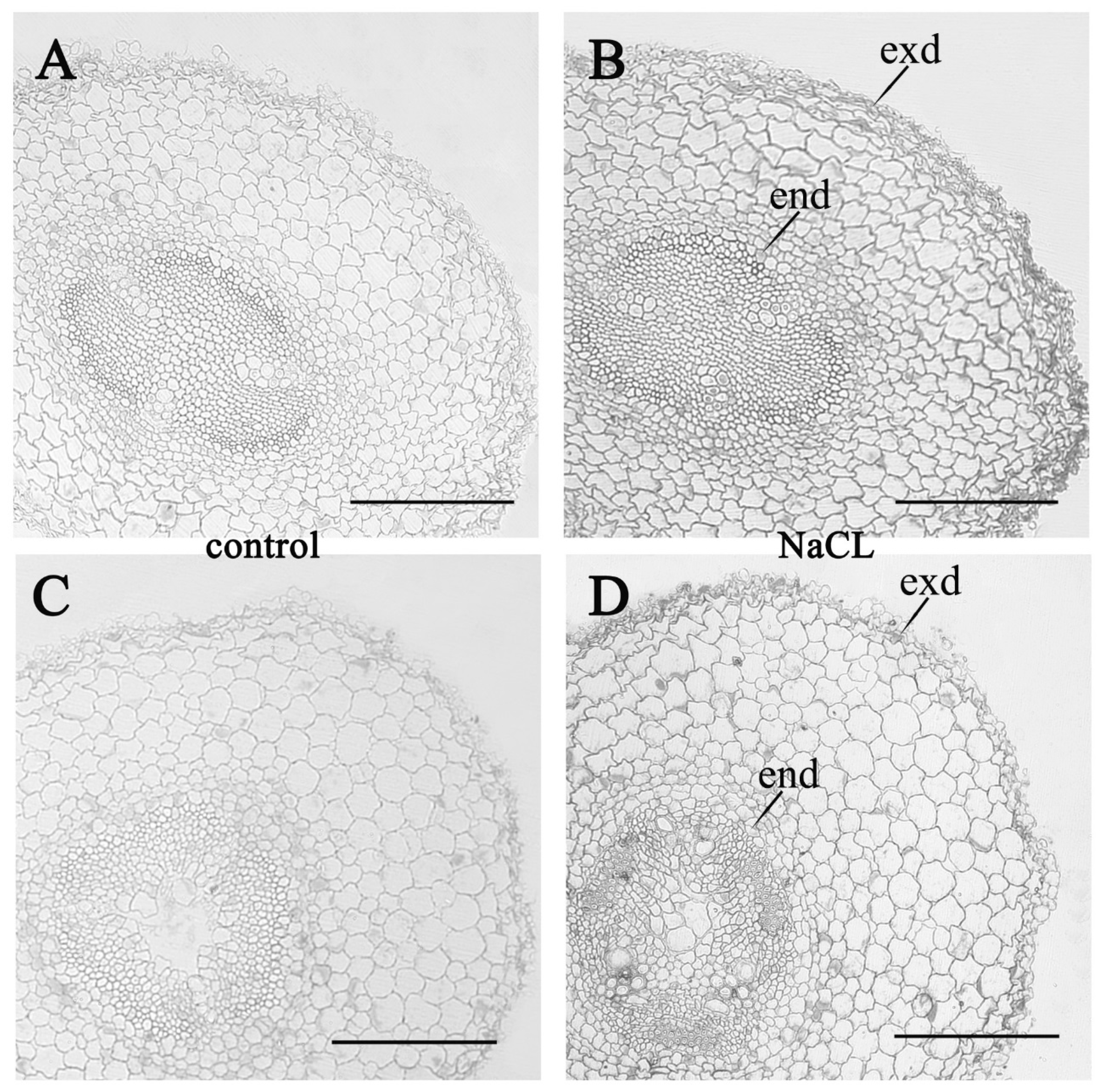 Biomolecules 10 00015 g004