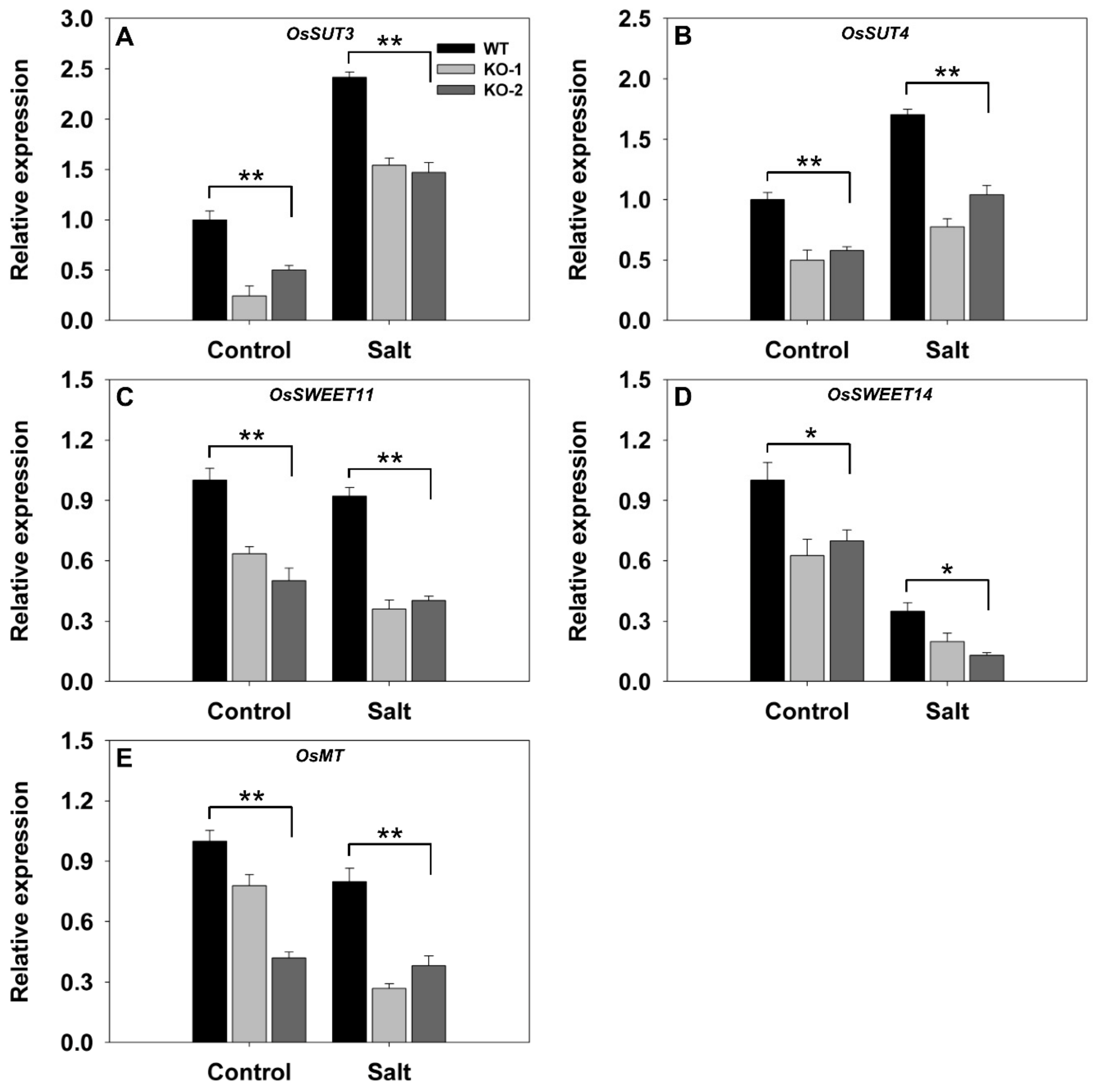 Biomolecules 10 00017 g005
