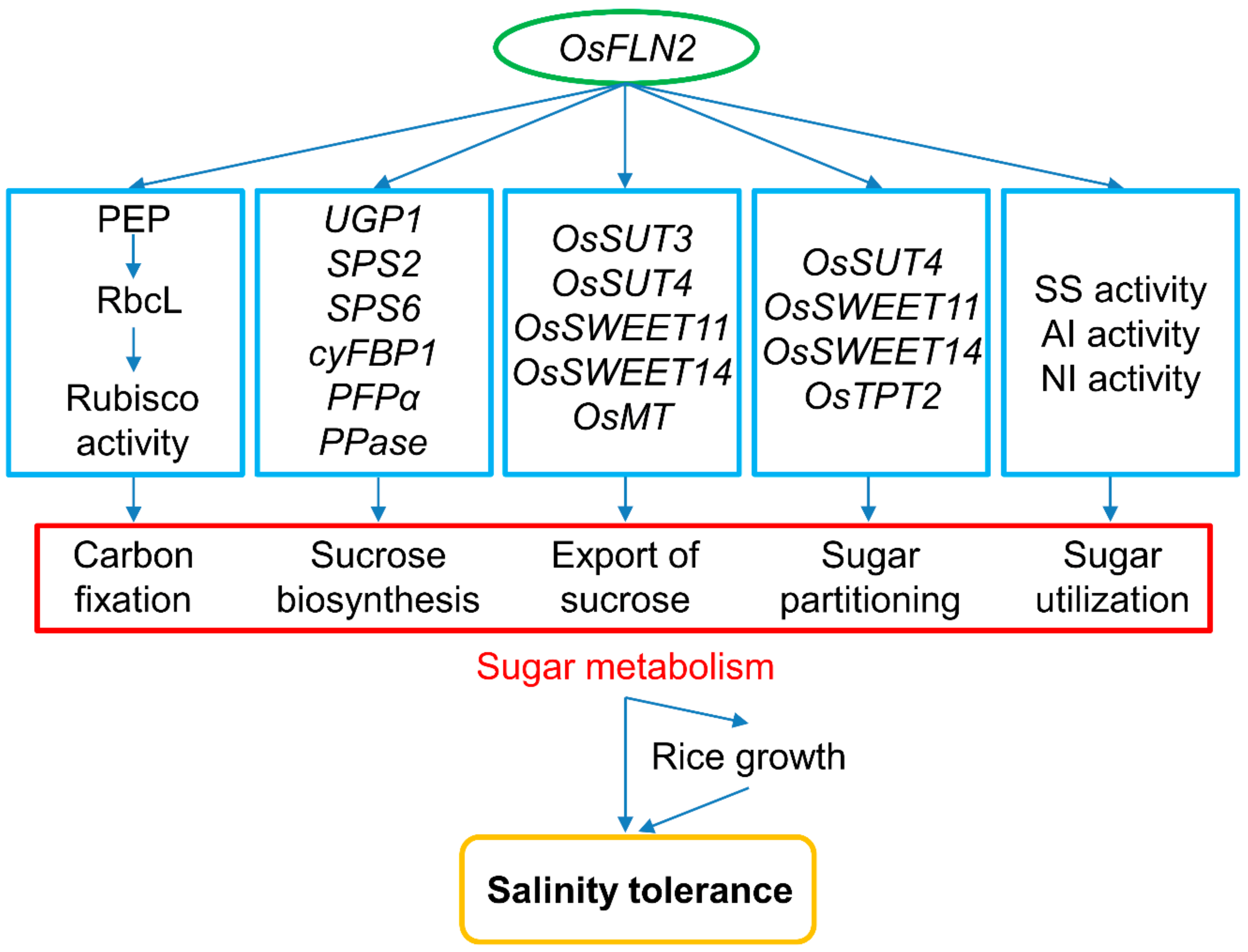 Biomolecules 10 00017 g009