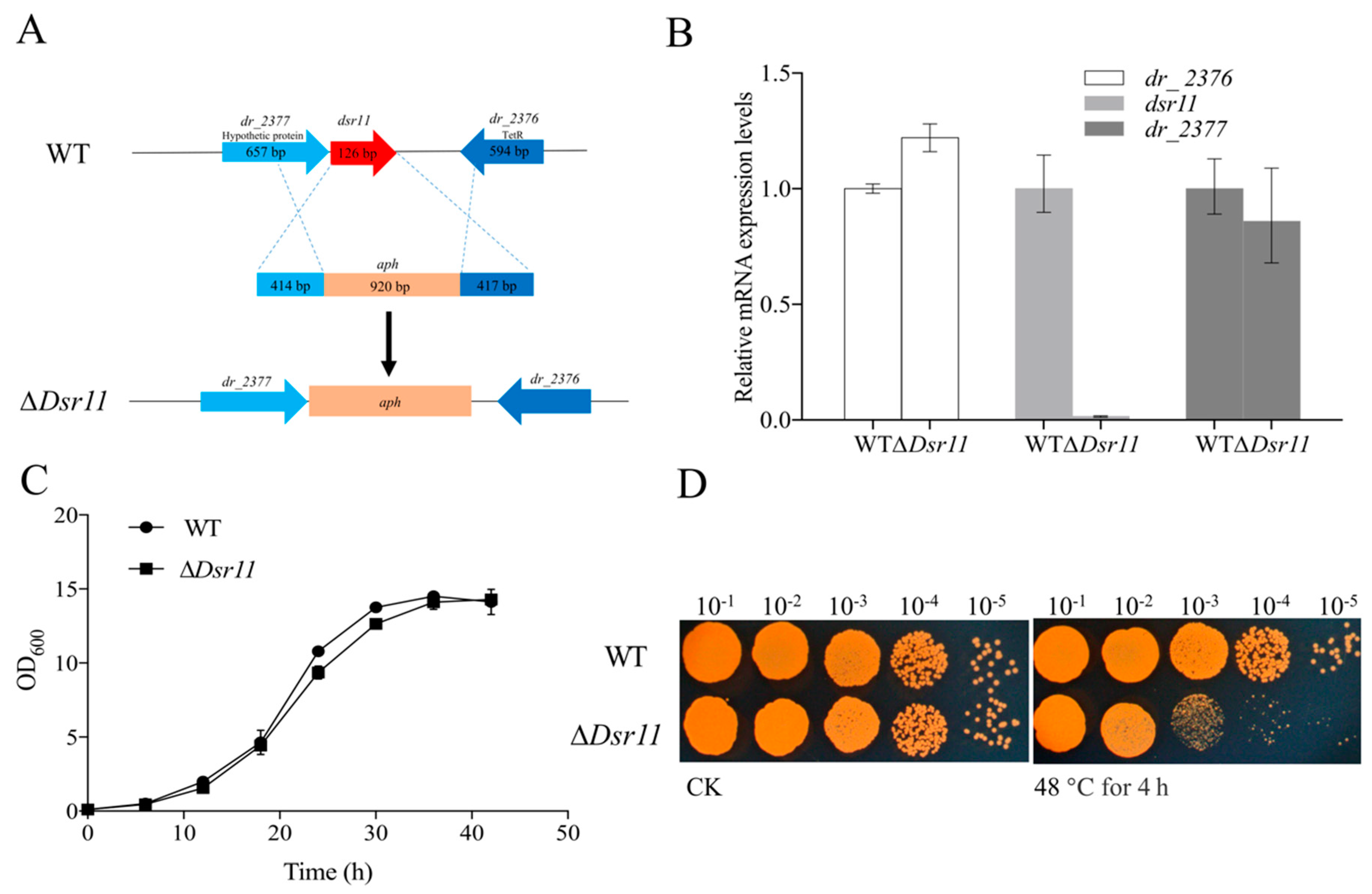 Biomolecules 10 00022 g002