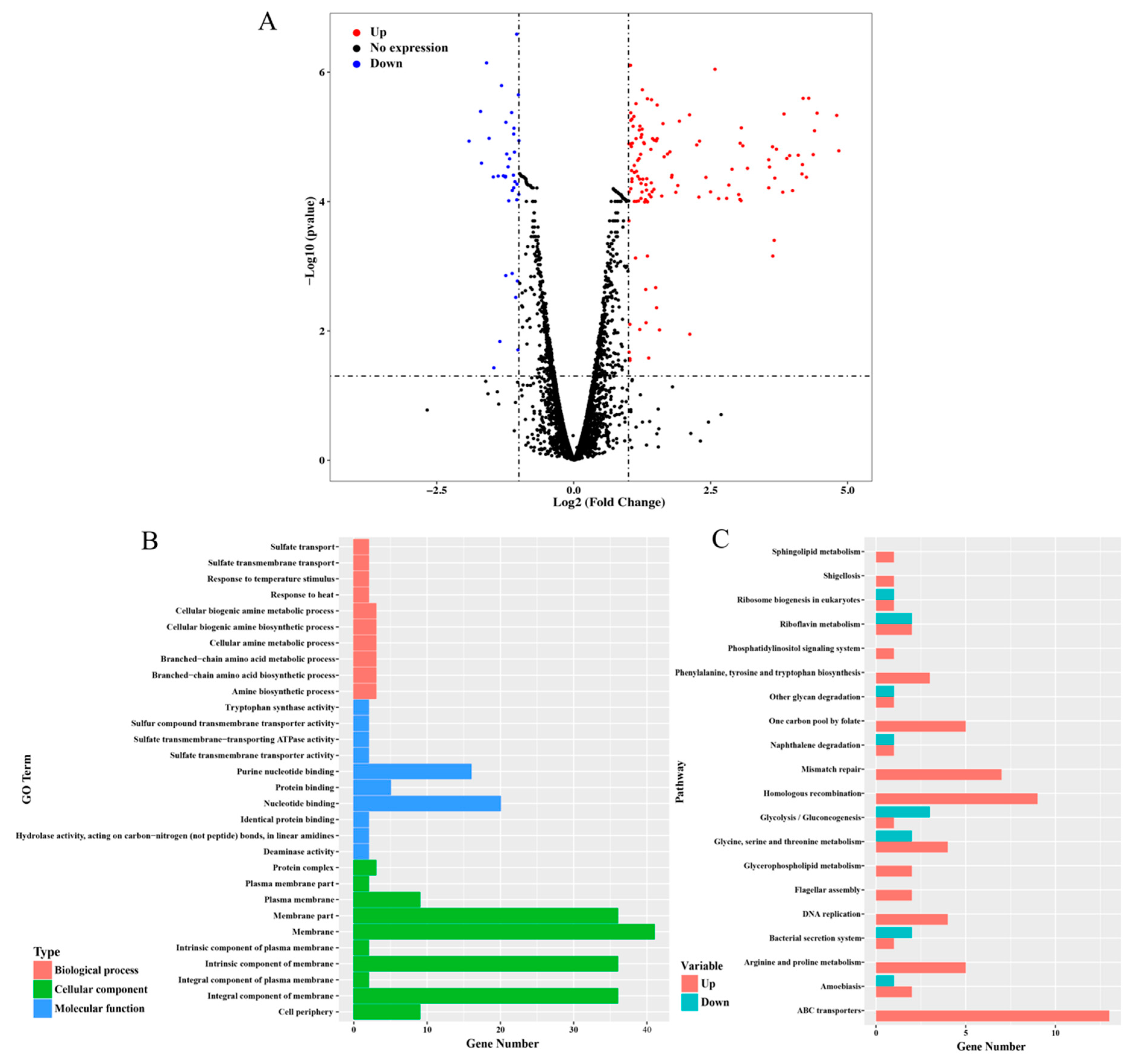 Biomolecules 10 00022 g003