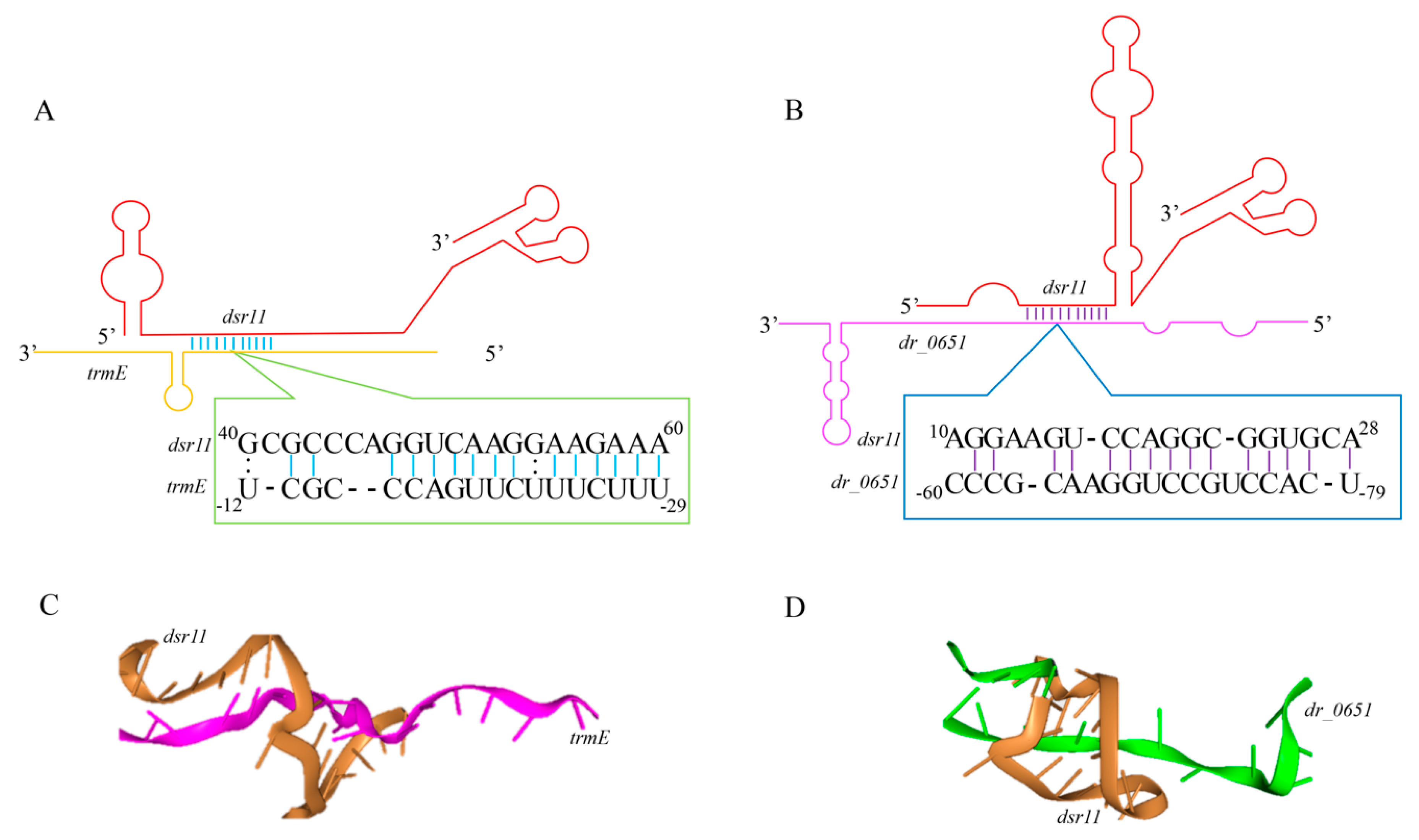 Biomolecules 10 00022 g005