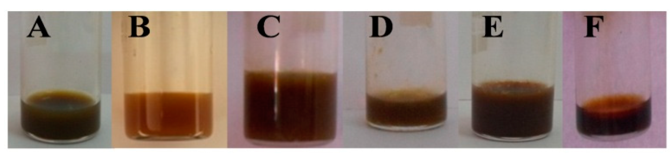 Biomolecules 10 00025 g001