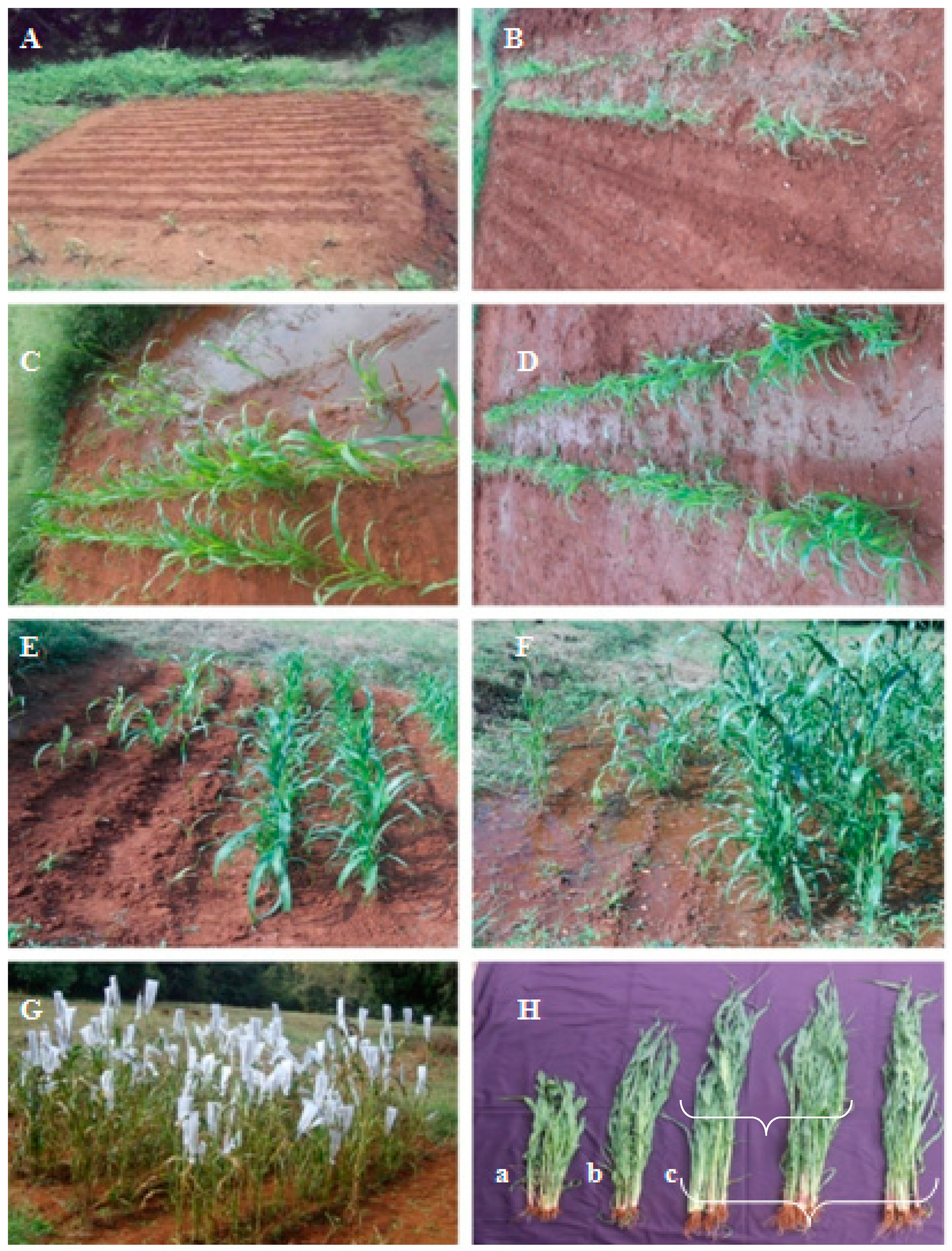 Biomolecules 10 00025 g009