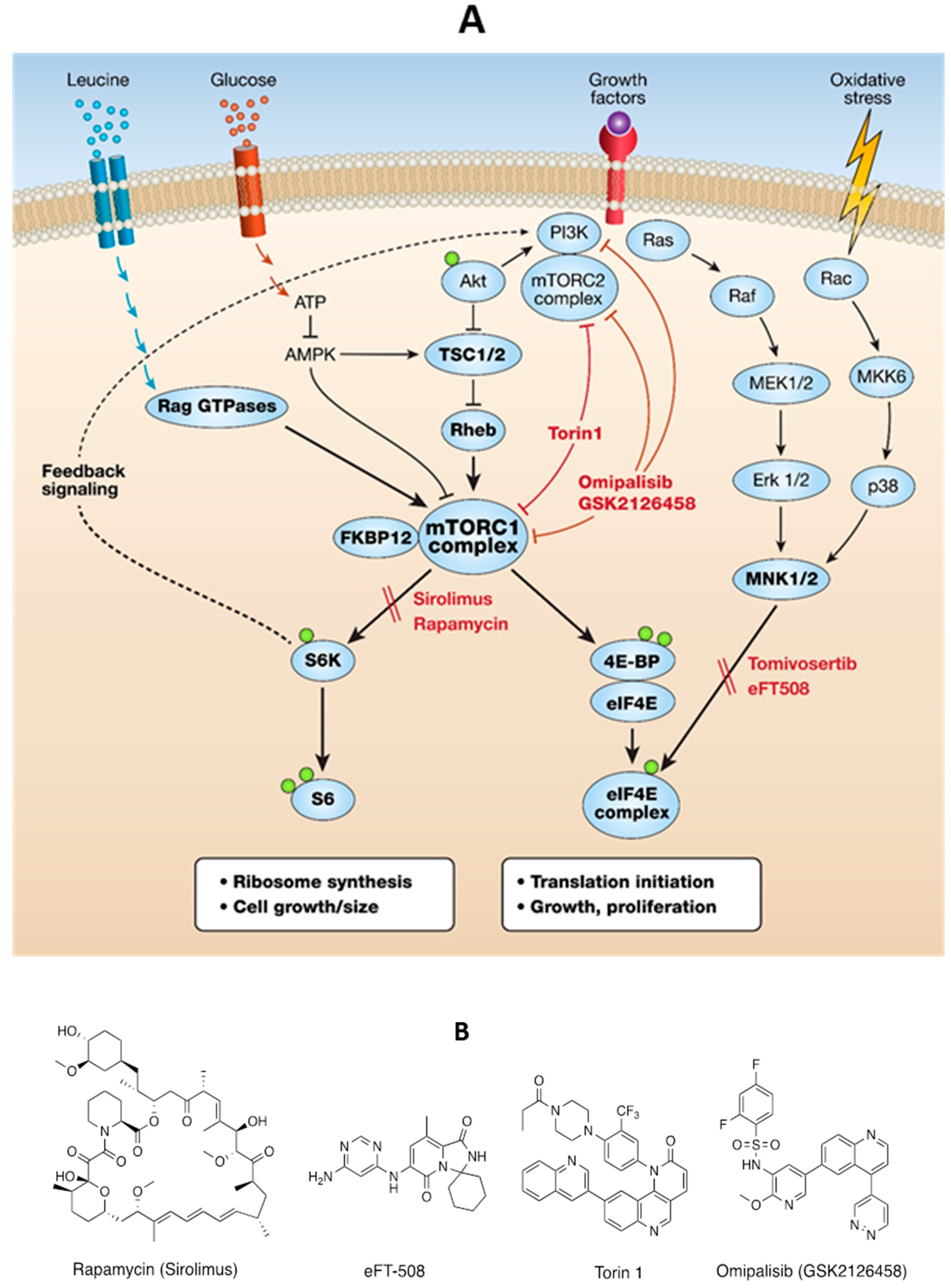 Biomolecules 10 00028 g001 Biomolecules 10 00028 g001