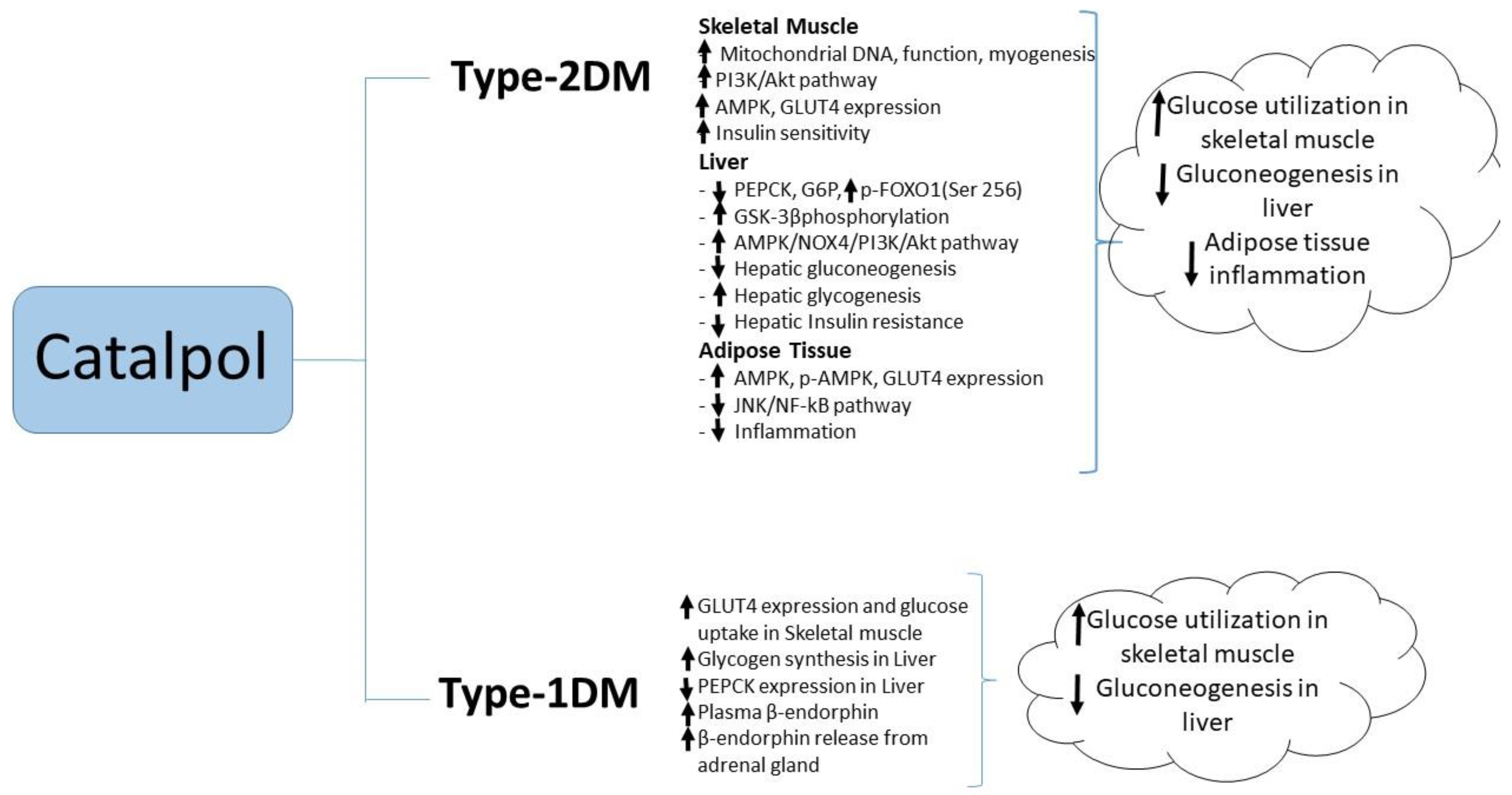 Biomolecules 10 00032 g003 Biomolecules 10 00032 g003