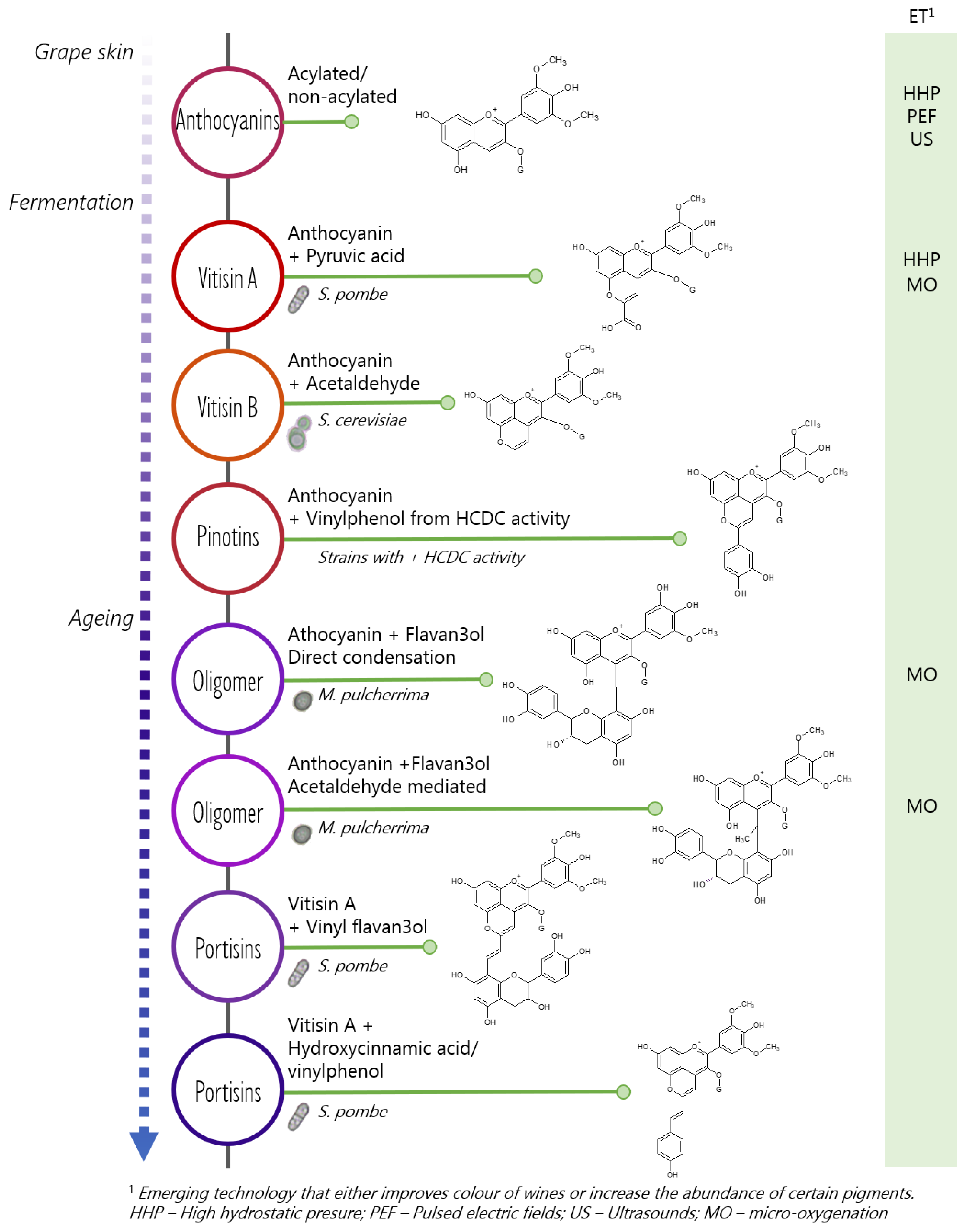 Biomolecules 10 00034 g005