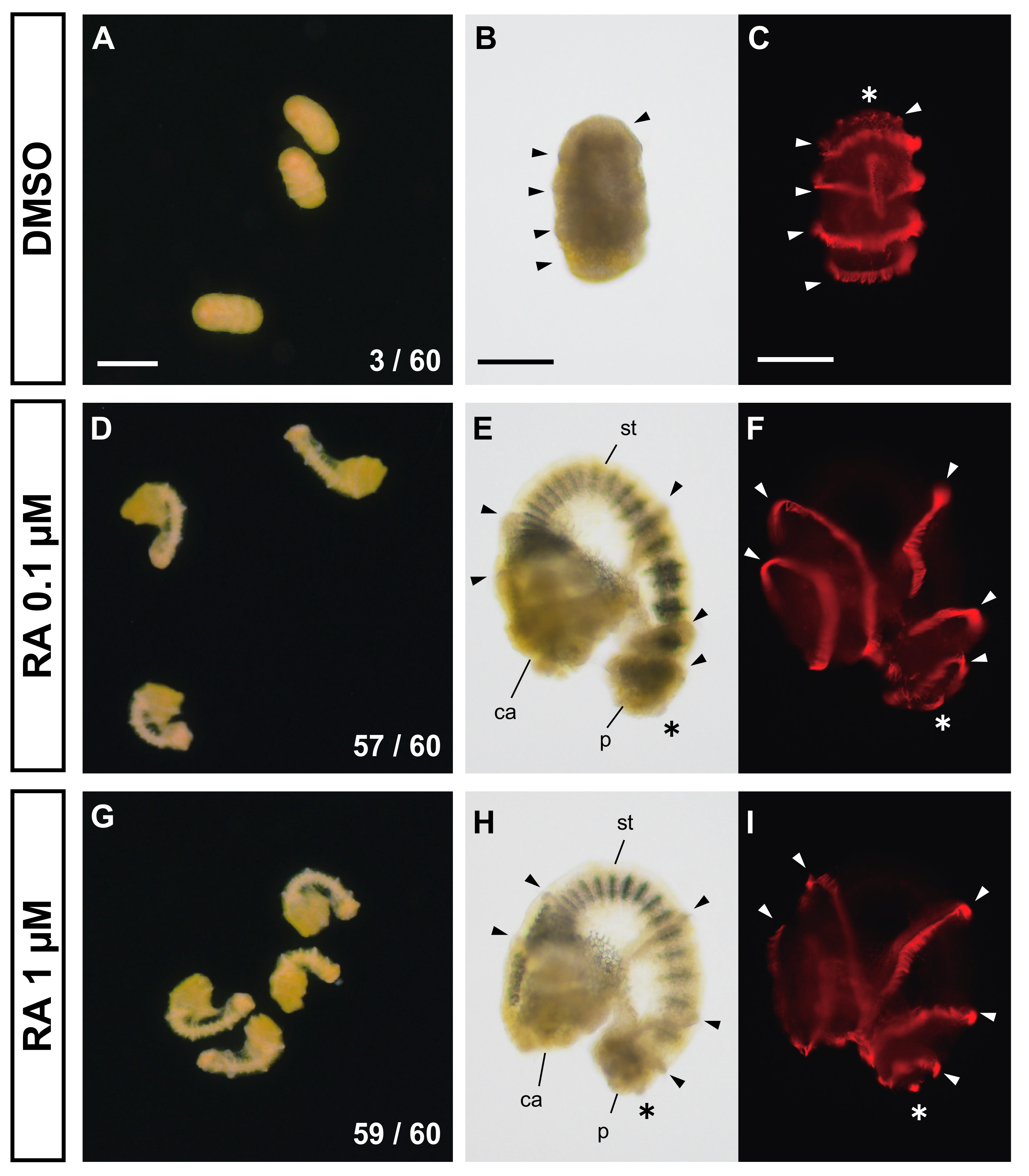 Biomolecules 10 00037 g003