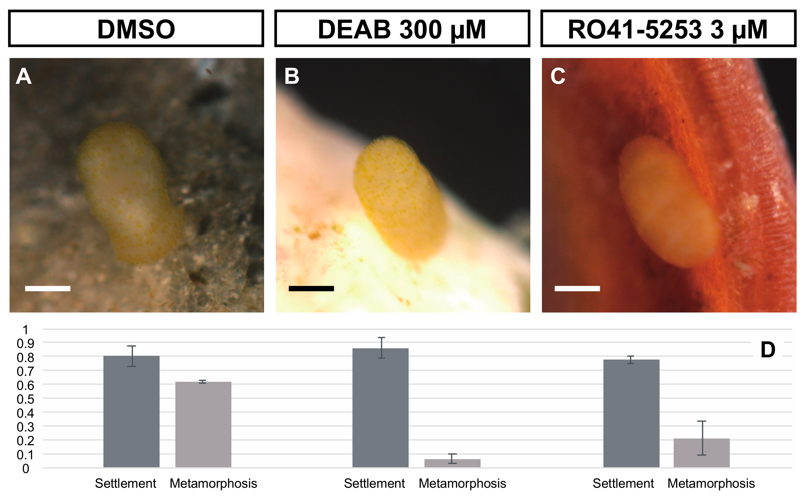 Biomolecules 10 00037 g004
