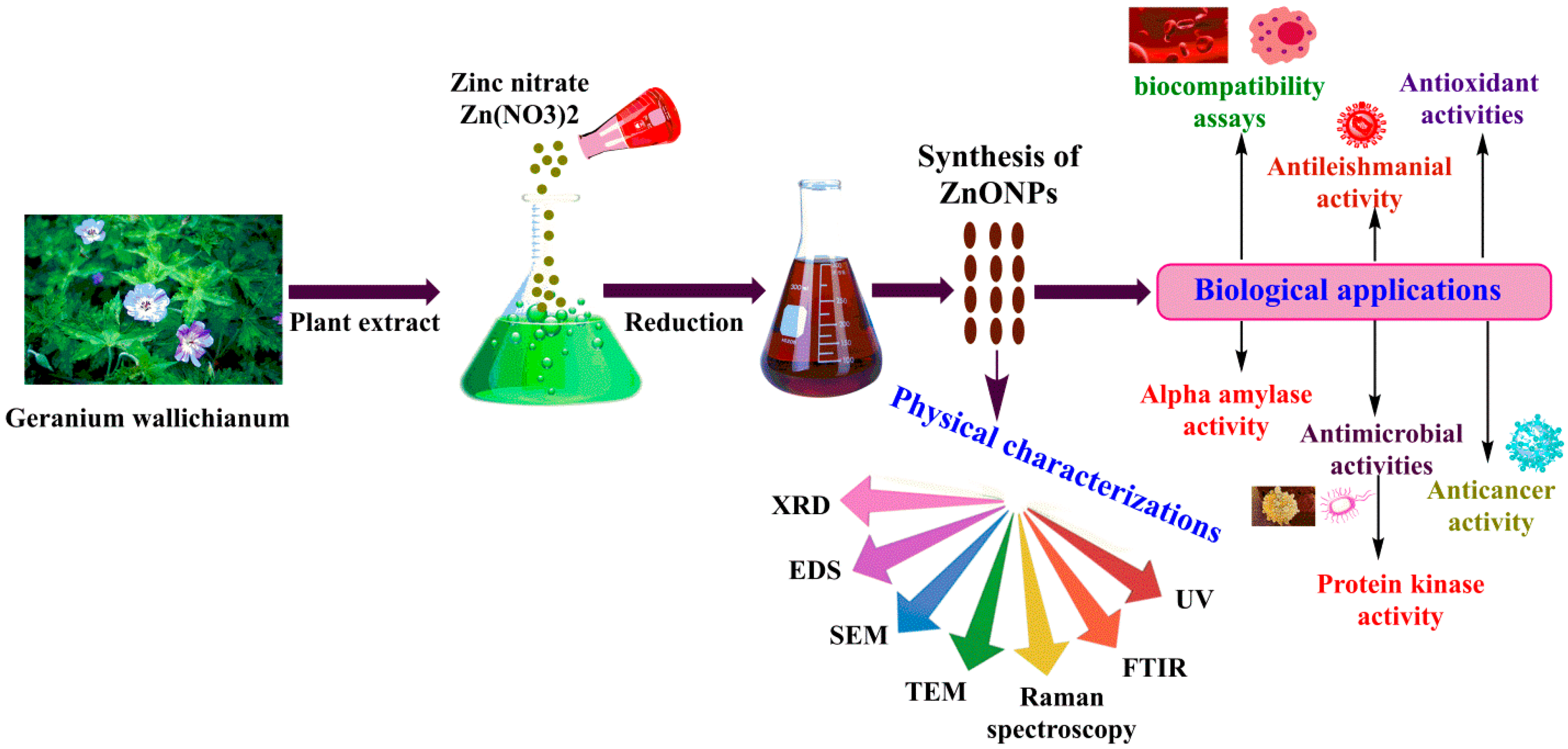 Biomolecules 10 00038 g001