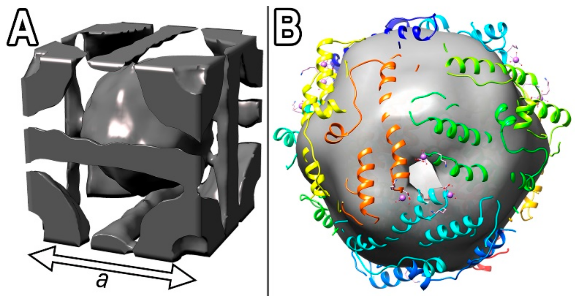Biomolecules 10 00039 g002 Biomolecules 10 00039 g002