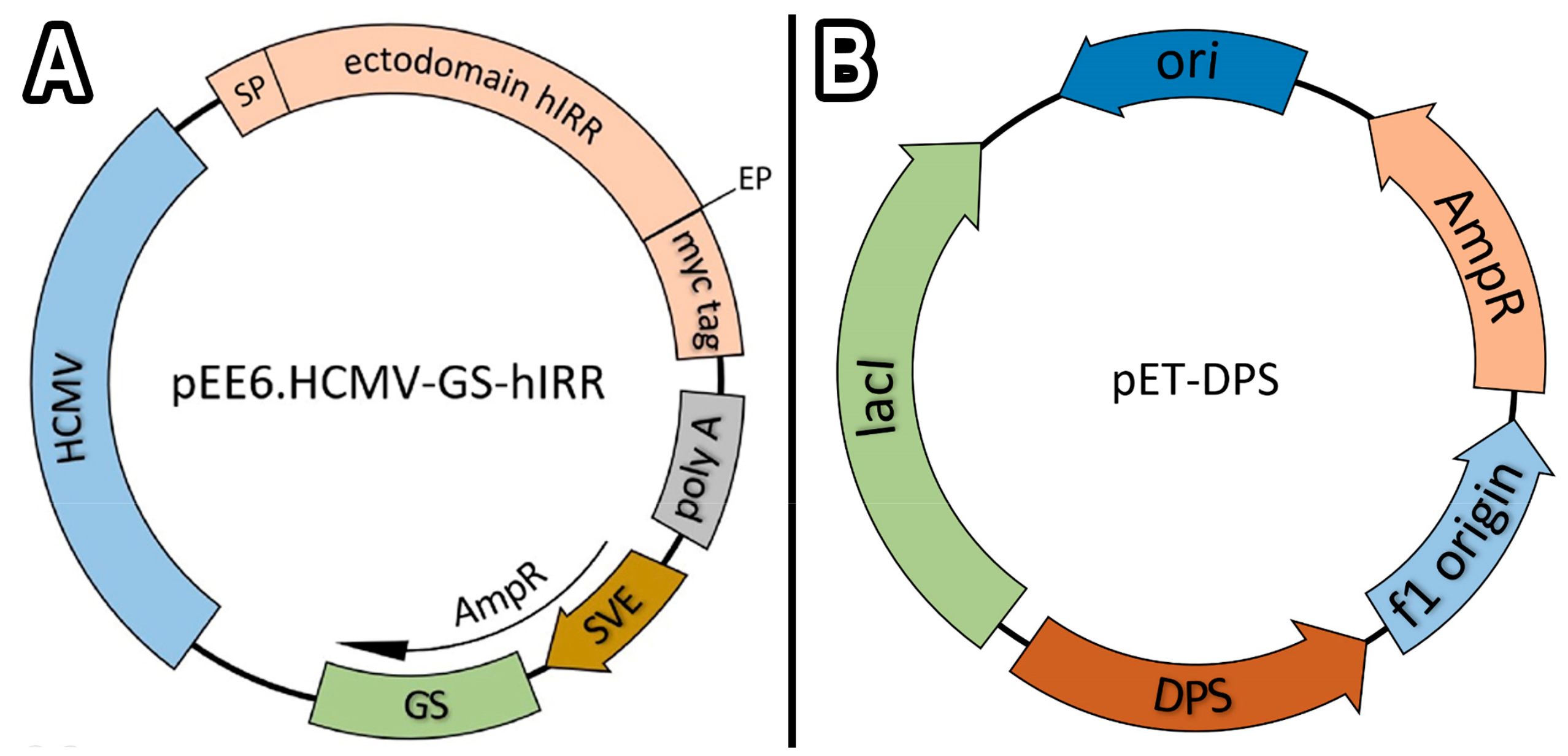 Biomolecules 10 00039 g0a1 Biomolecules 10 00039 g0a1