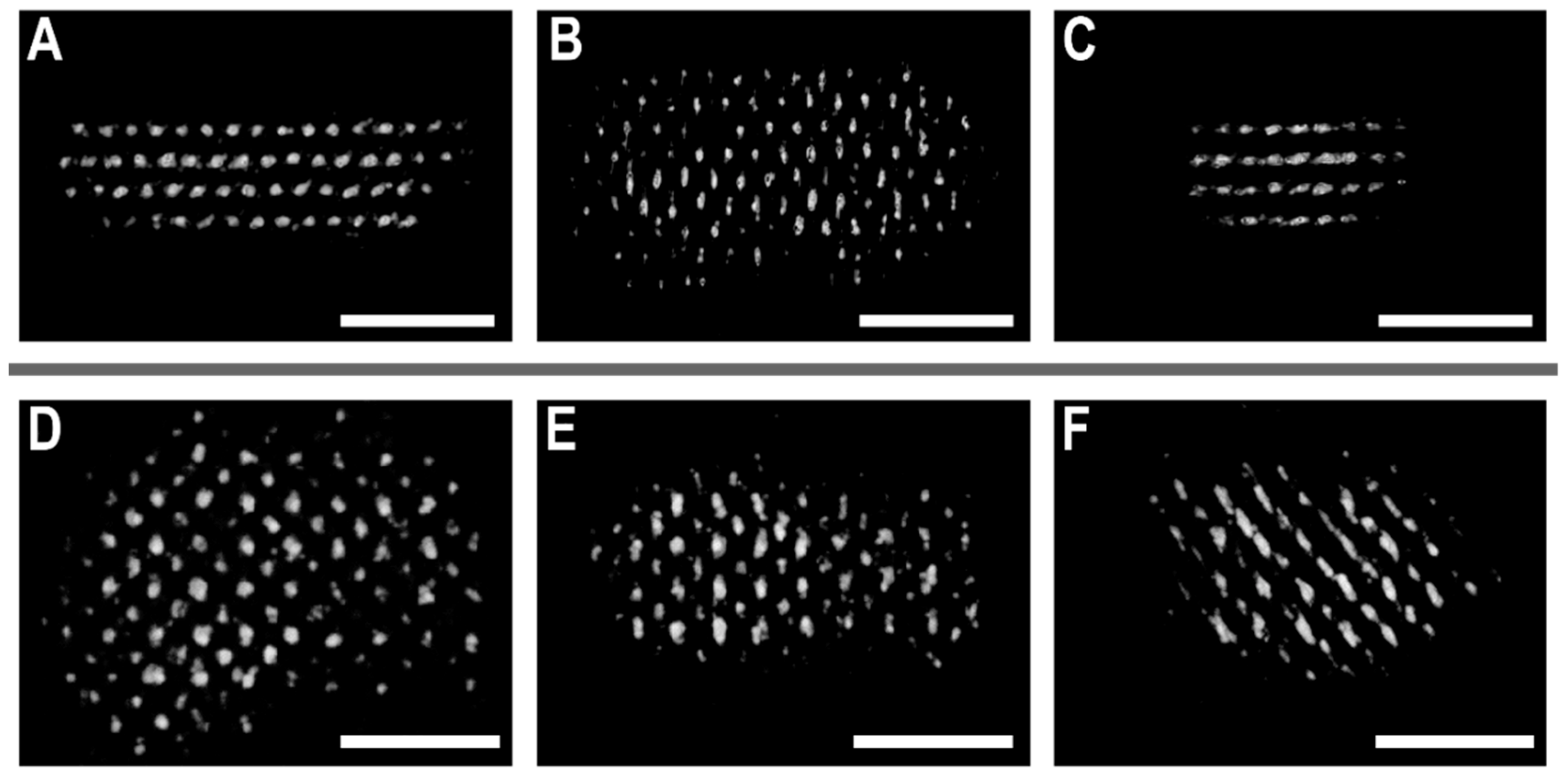 Biomolecules 10 00039 g0a2 Biomolecules 10 00039 g0a2