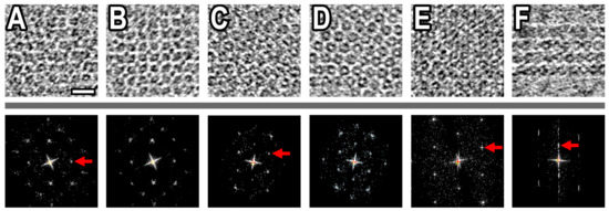 Biomolecules 10 00039 g0a3
