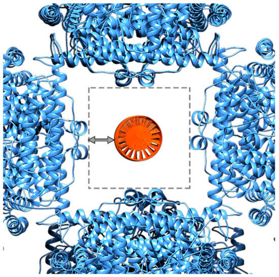 Biomolecules 10 00039 g0a5