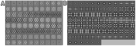 Biomolecules 10 00039 g0a6