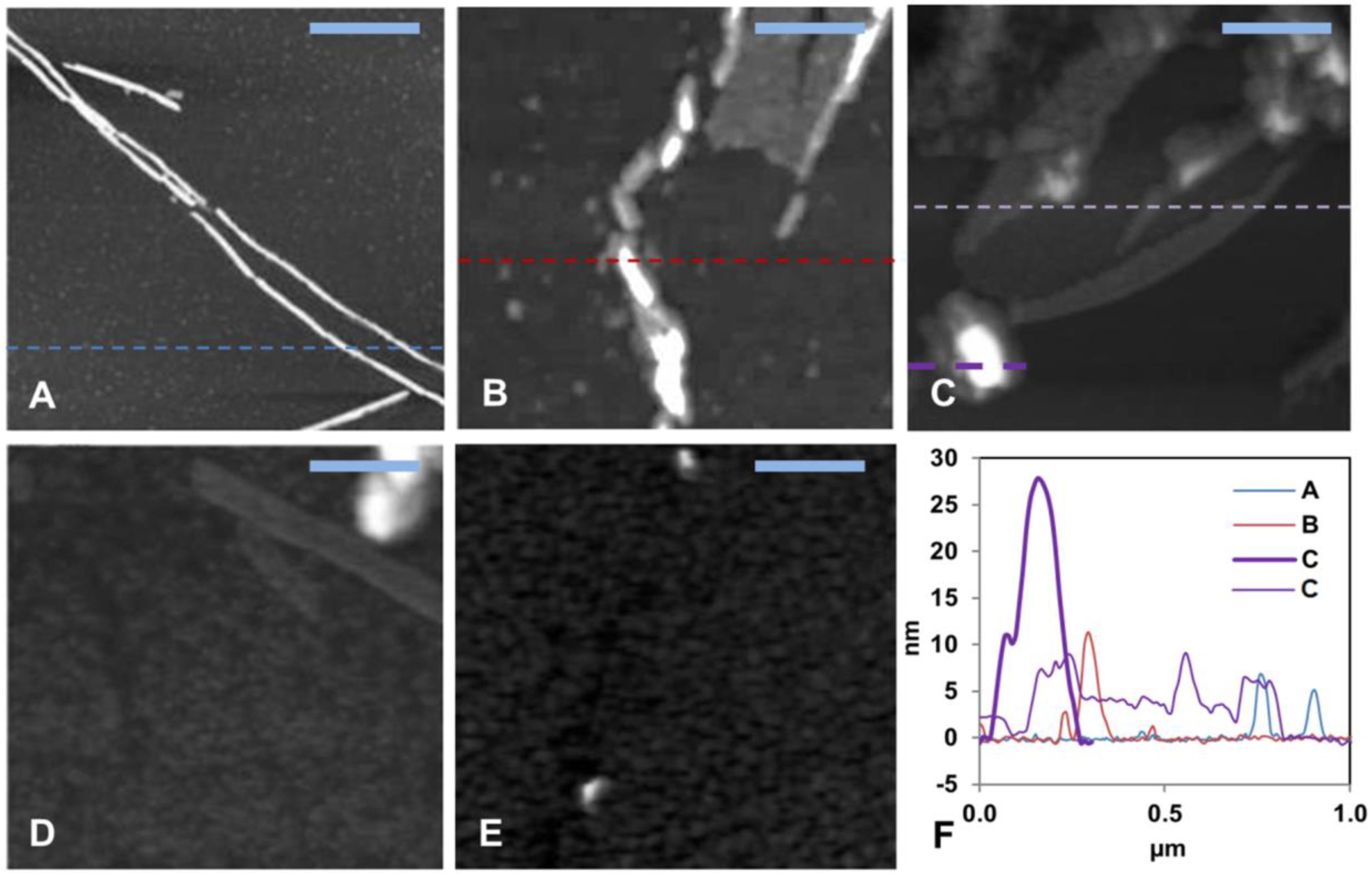 Biomolecules 10 00044 g002