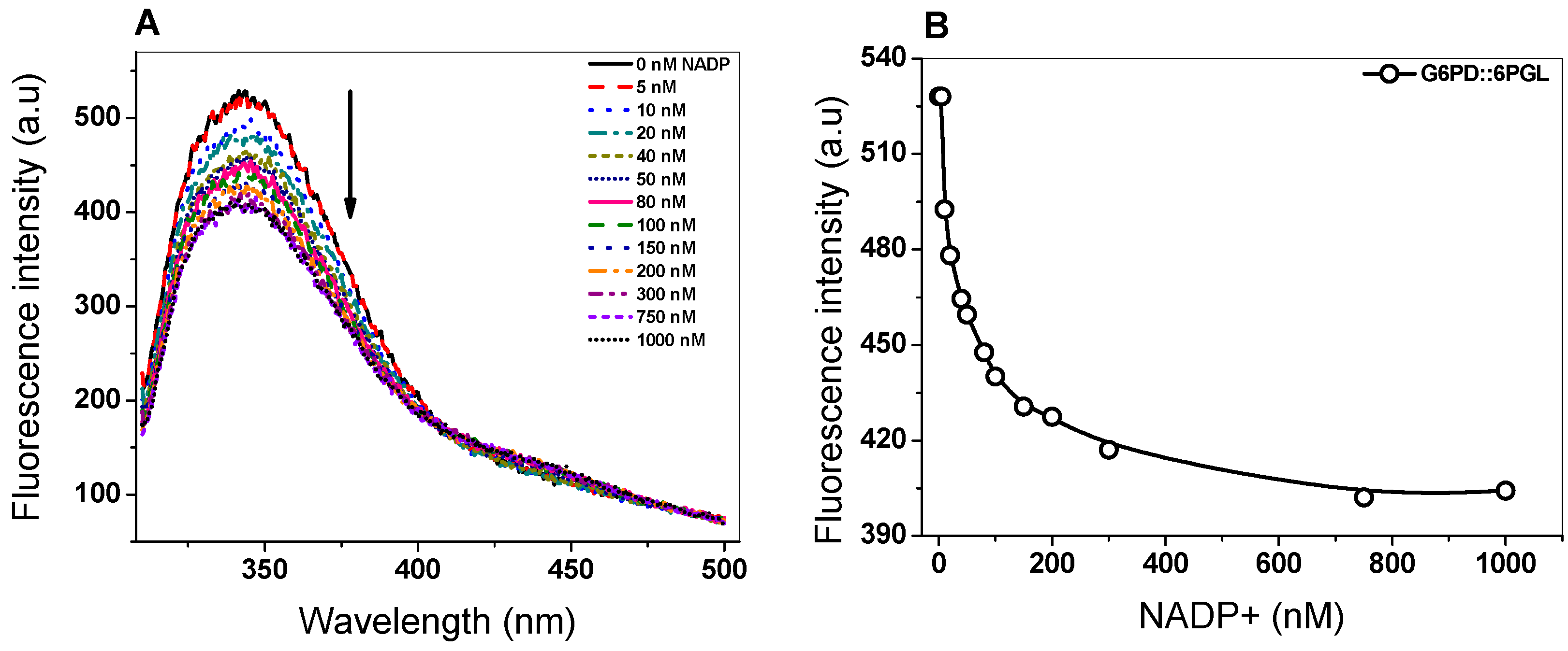 Biomolecules 10 00046 g006 Biomolecules 10 00046 g006