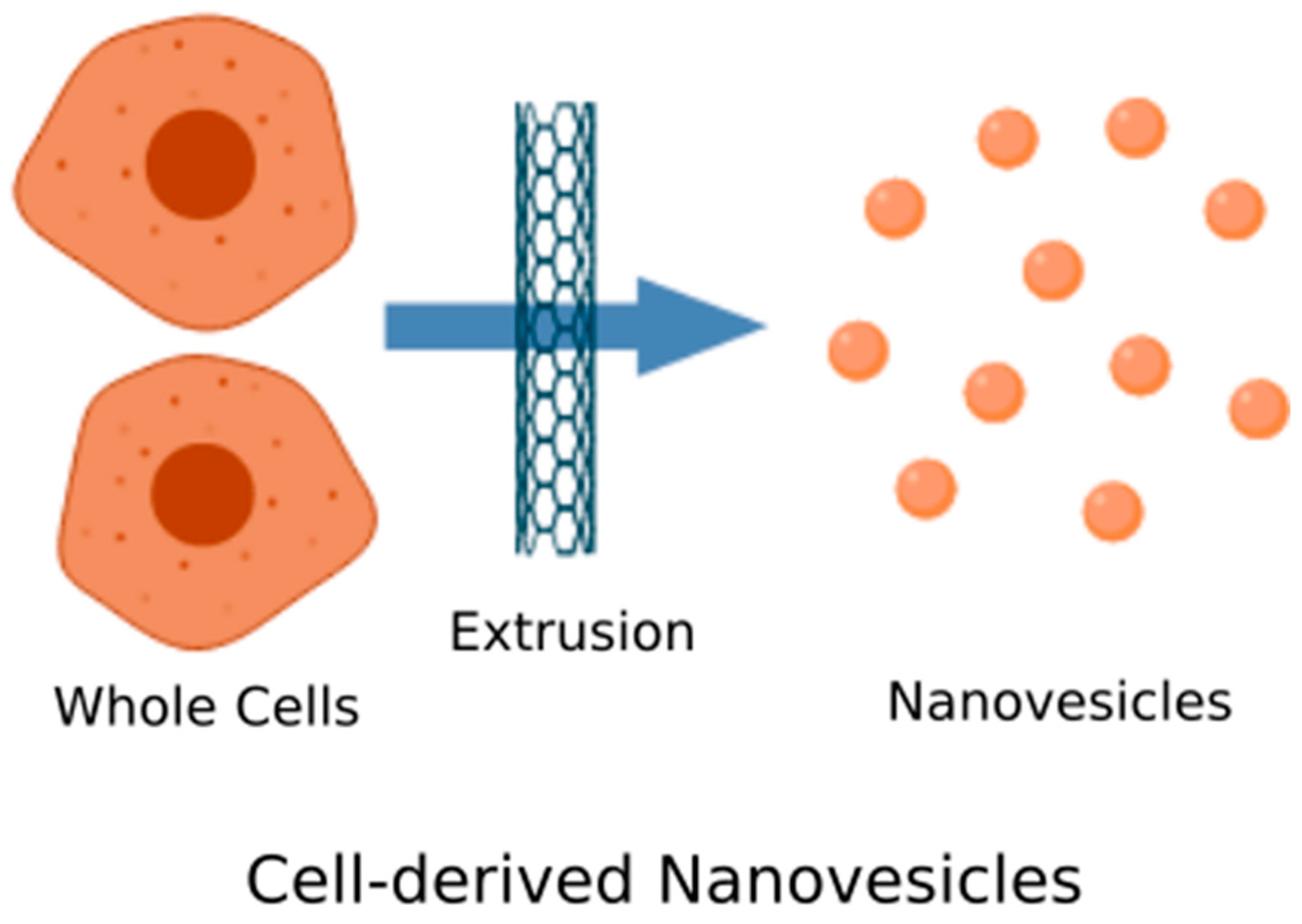 Biomolecules 10 00048 g002 Biomolecules 10 00048 g002