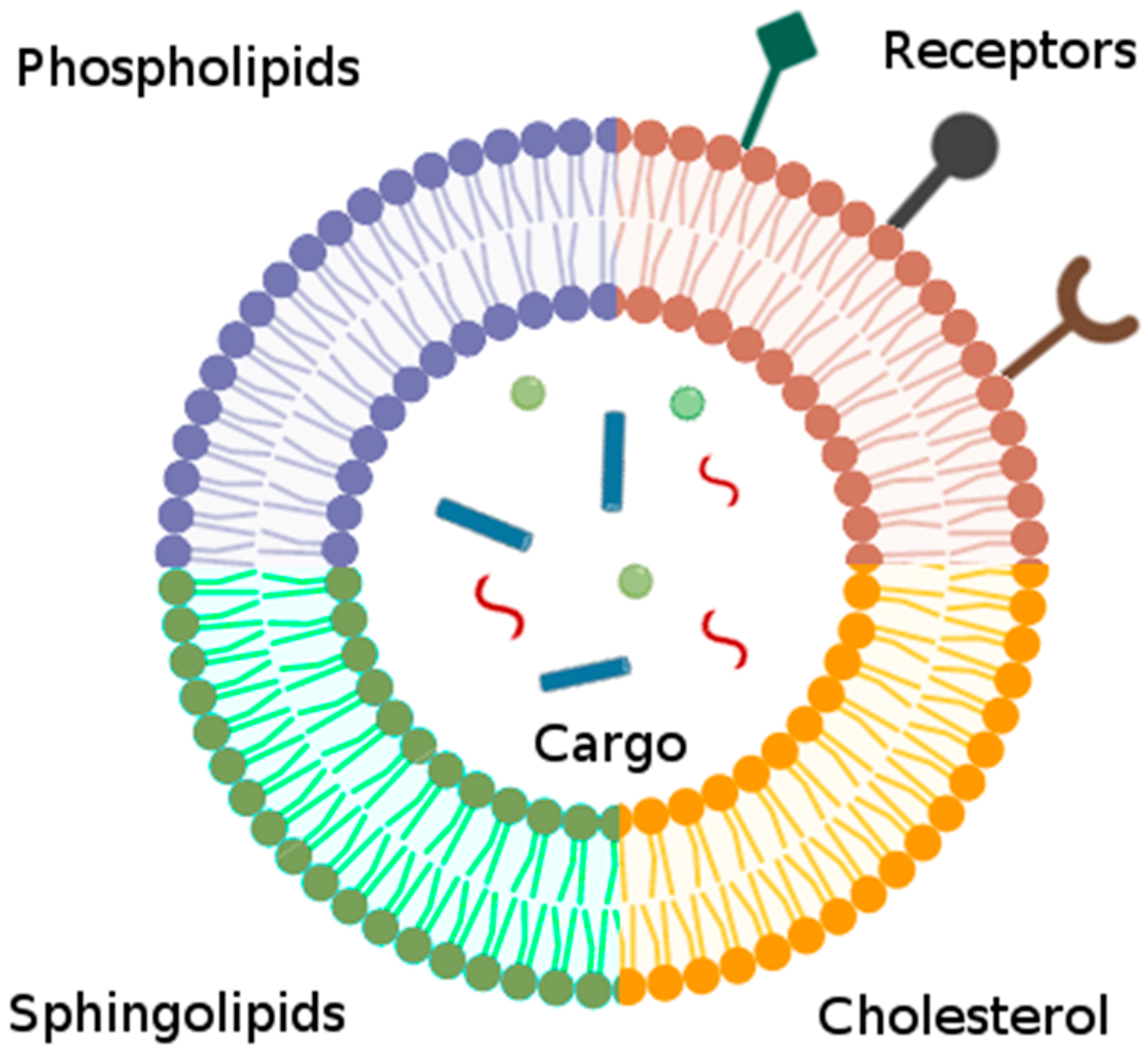 Biomolecules 10 00048 g003 Biomolecules 10 00048 g003