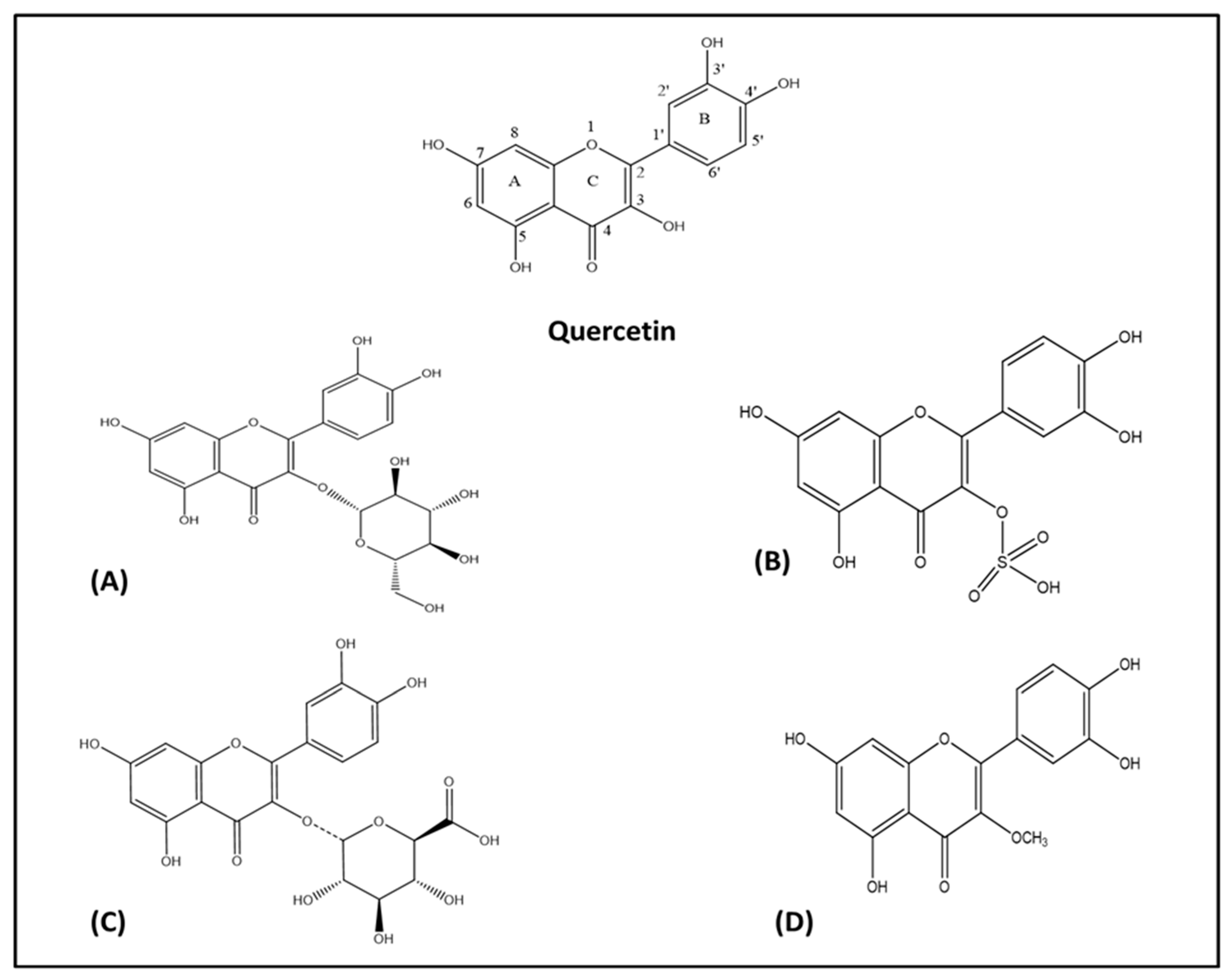 Biomolecules 10 00059 g002 Biomolecules 10 00059 g002