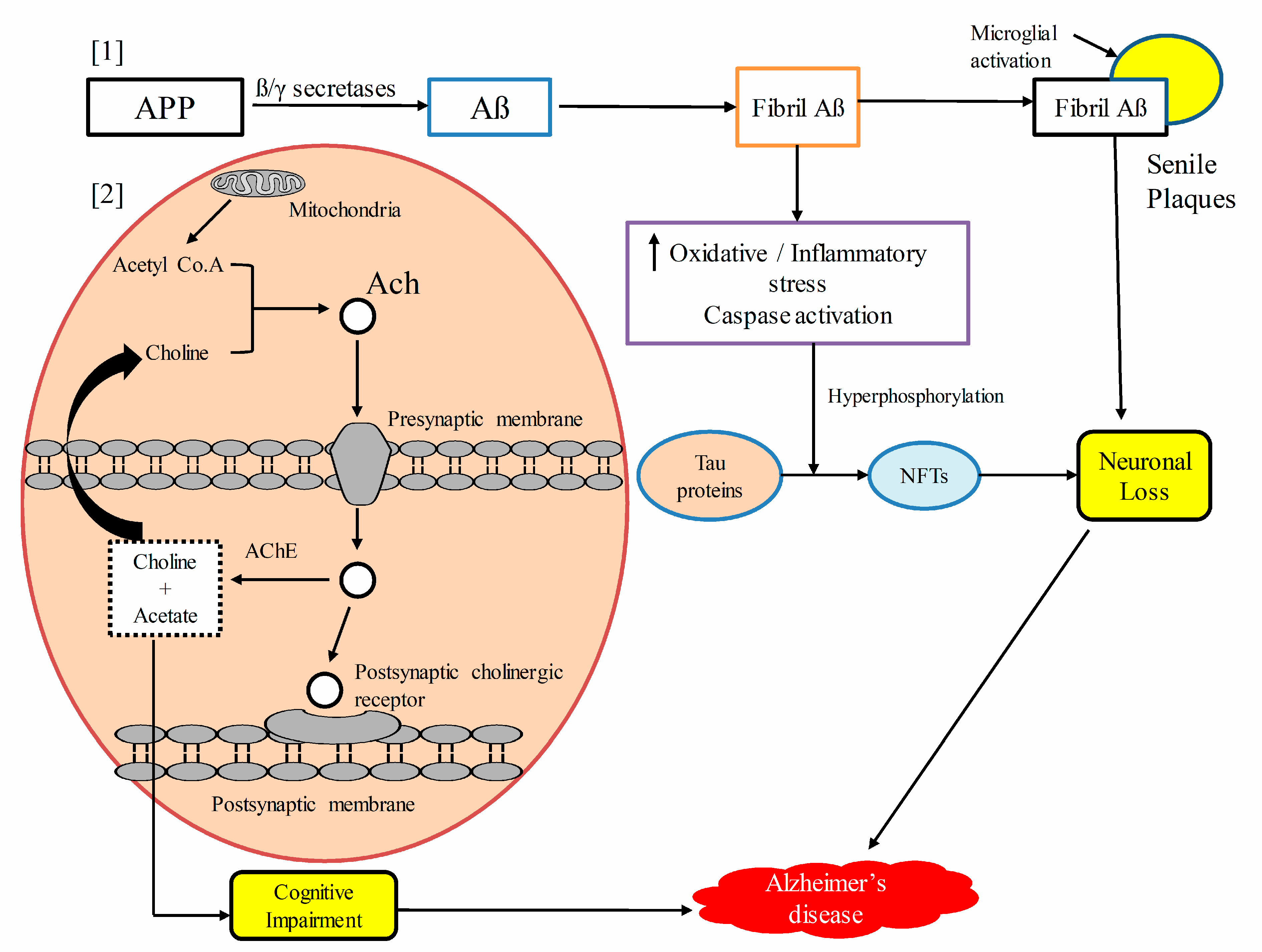 Biomolecules 10 00059 g003 Biomolecules 10 00059 g003