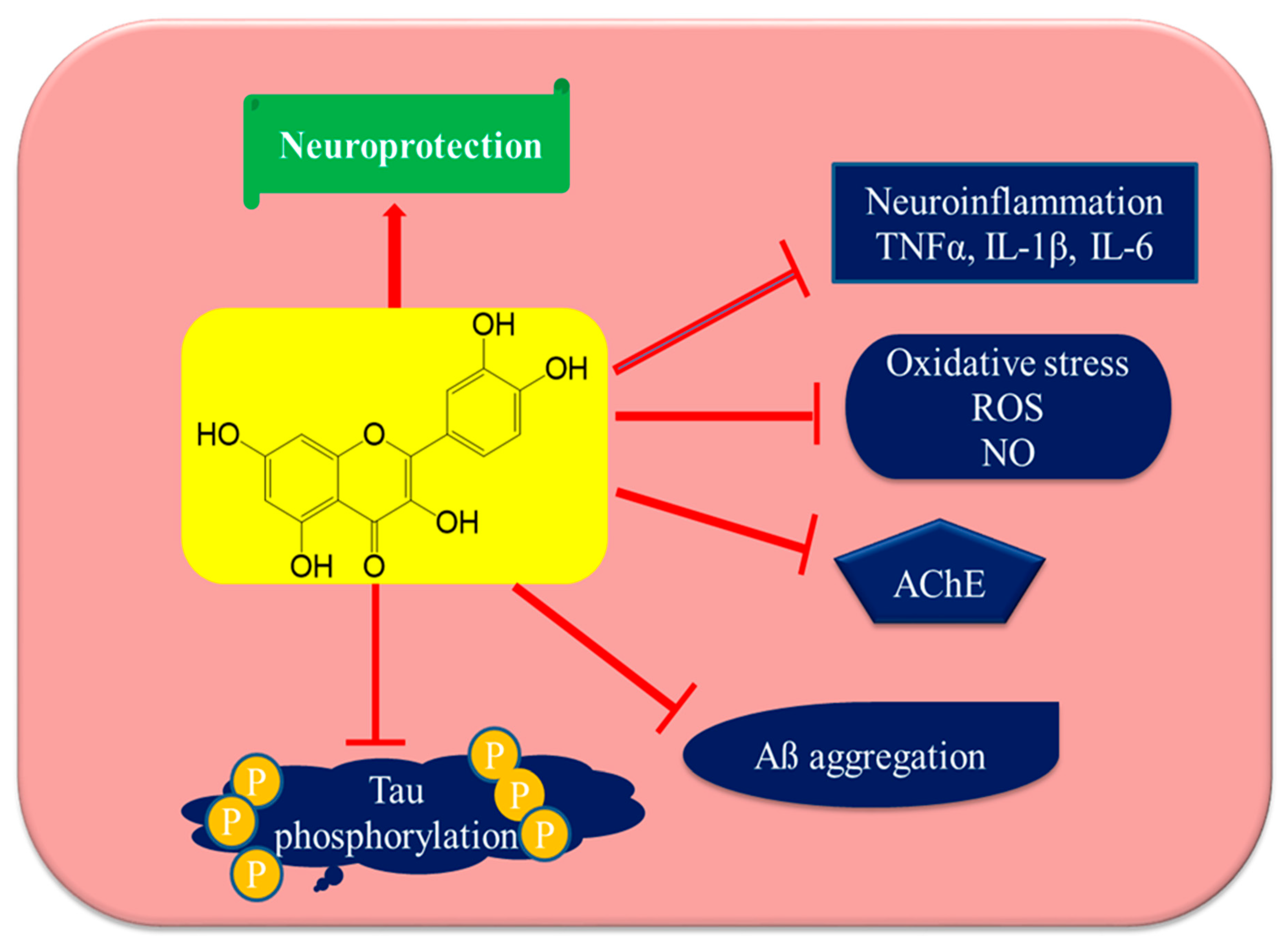 Biomolecules 10 00059 g004 Biomolecules 10 00059 g004