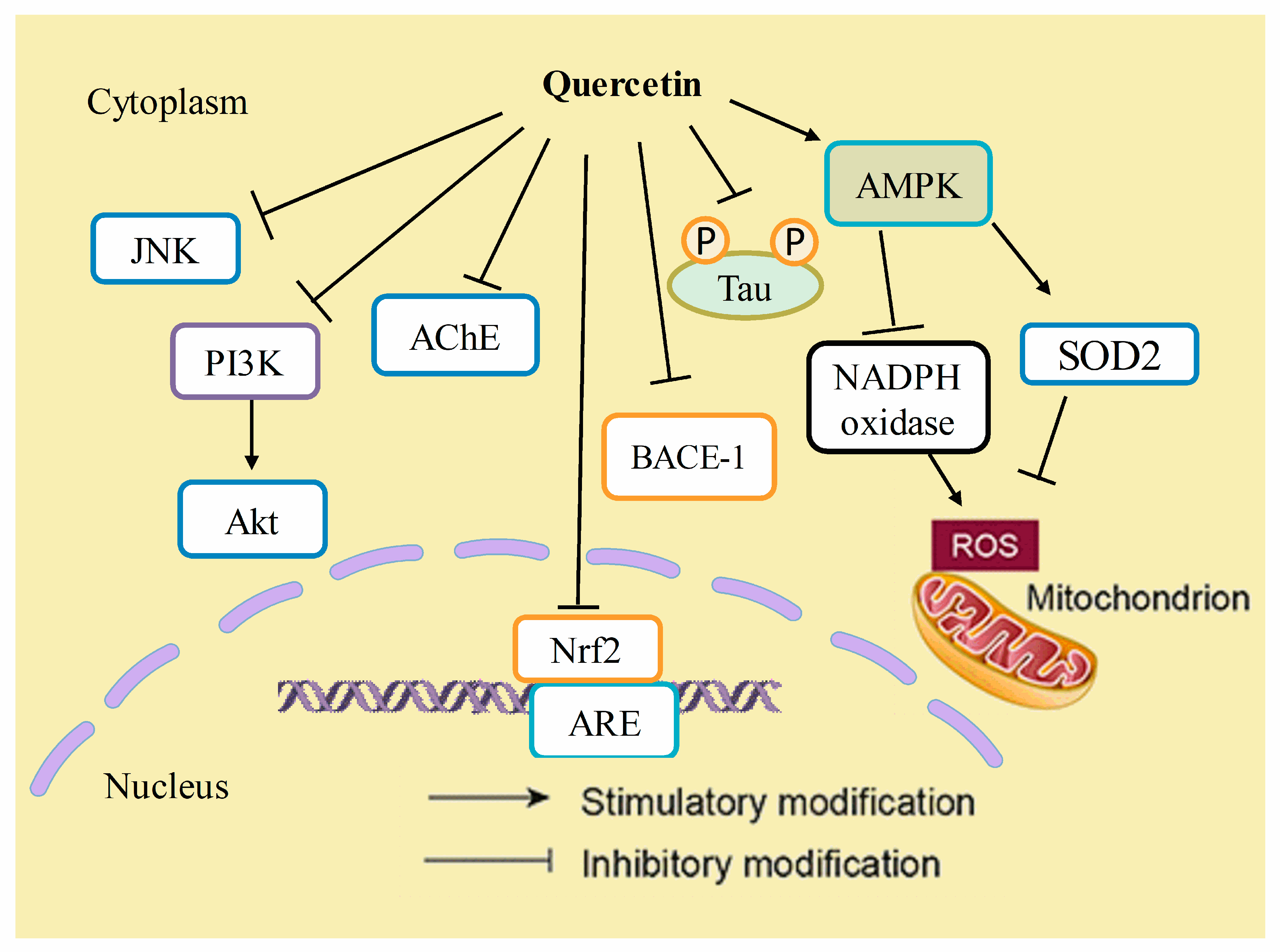 Biomolecules 10 00059 g005 Biomolecules 10 00059 g005