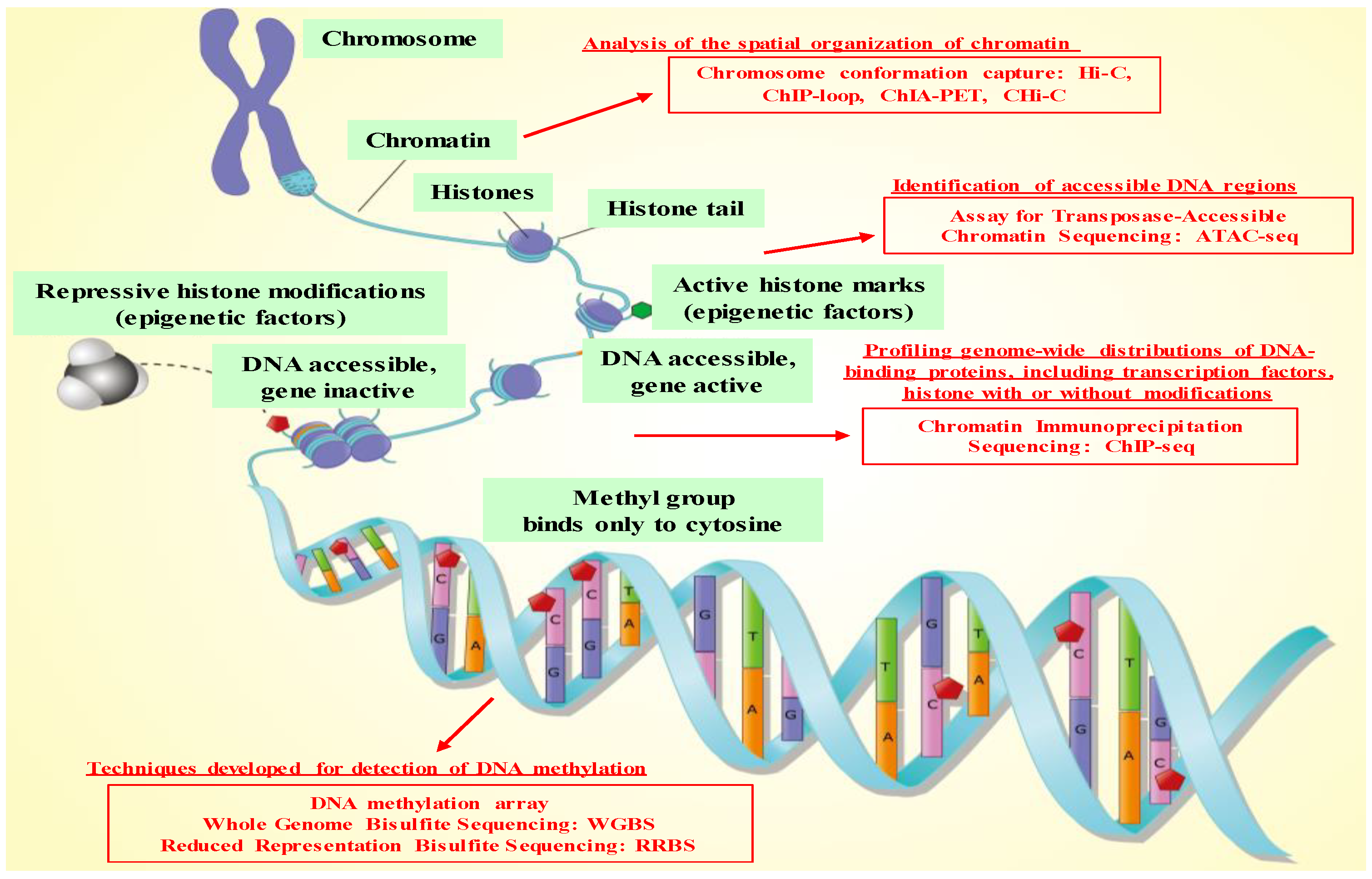 Biomolecules 10 00062 g001 Biomolecules 10 00062 g001