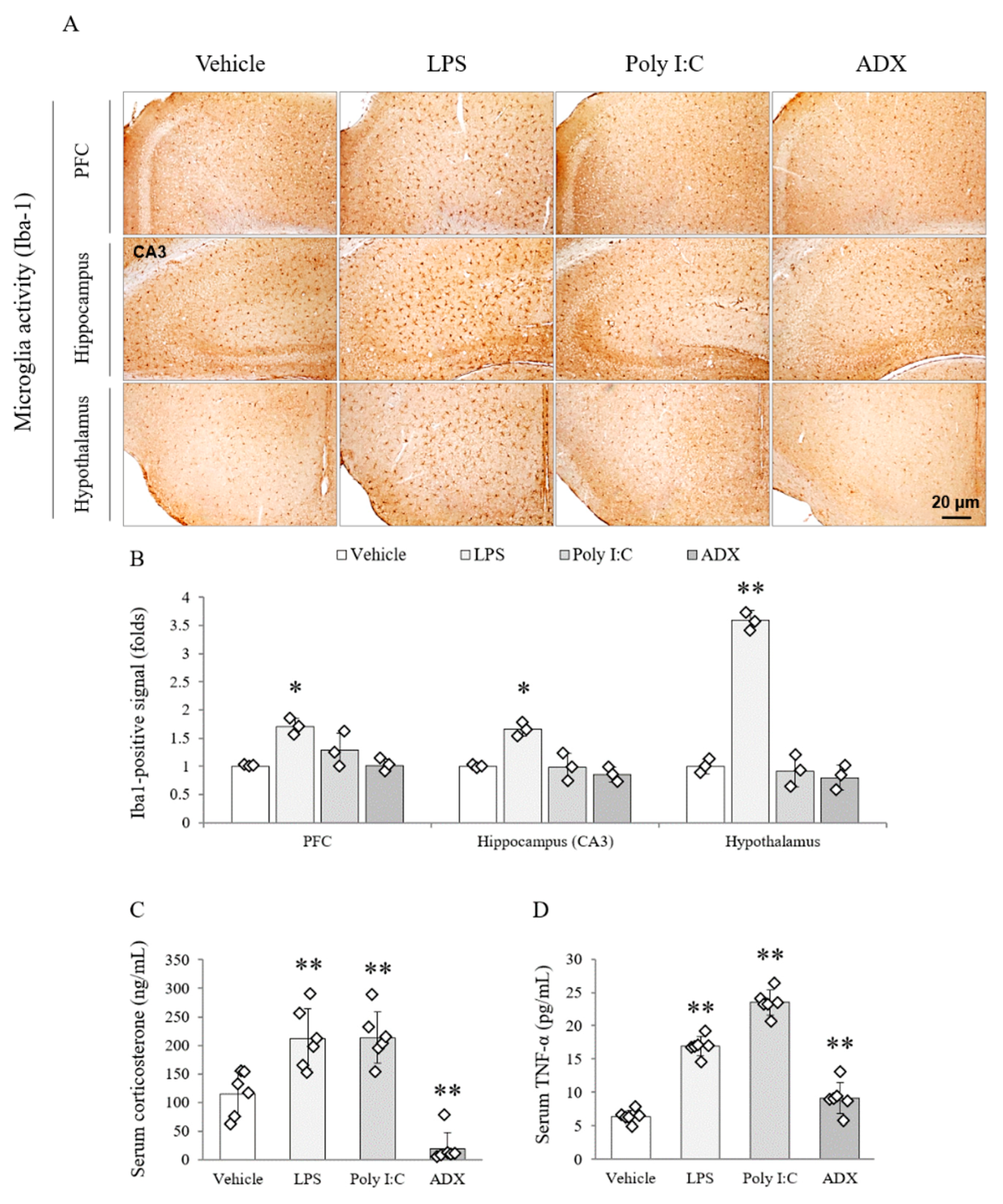 Biomolecules 10 00071 g003