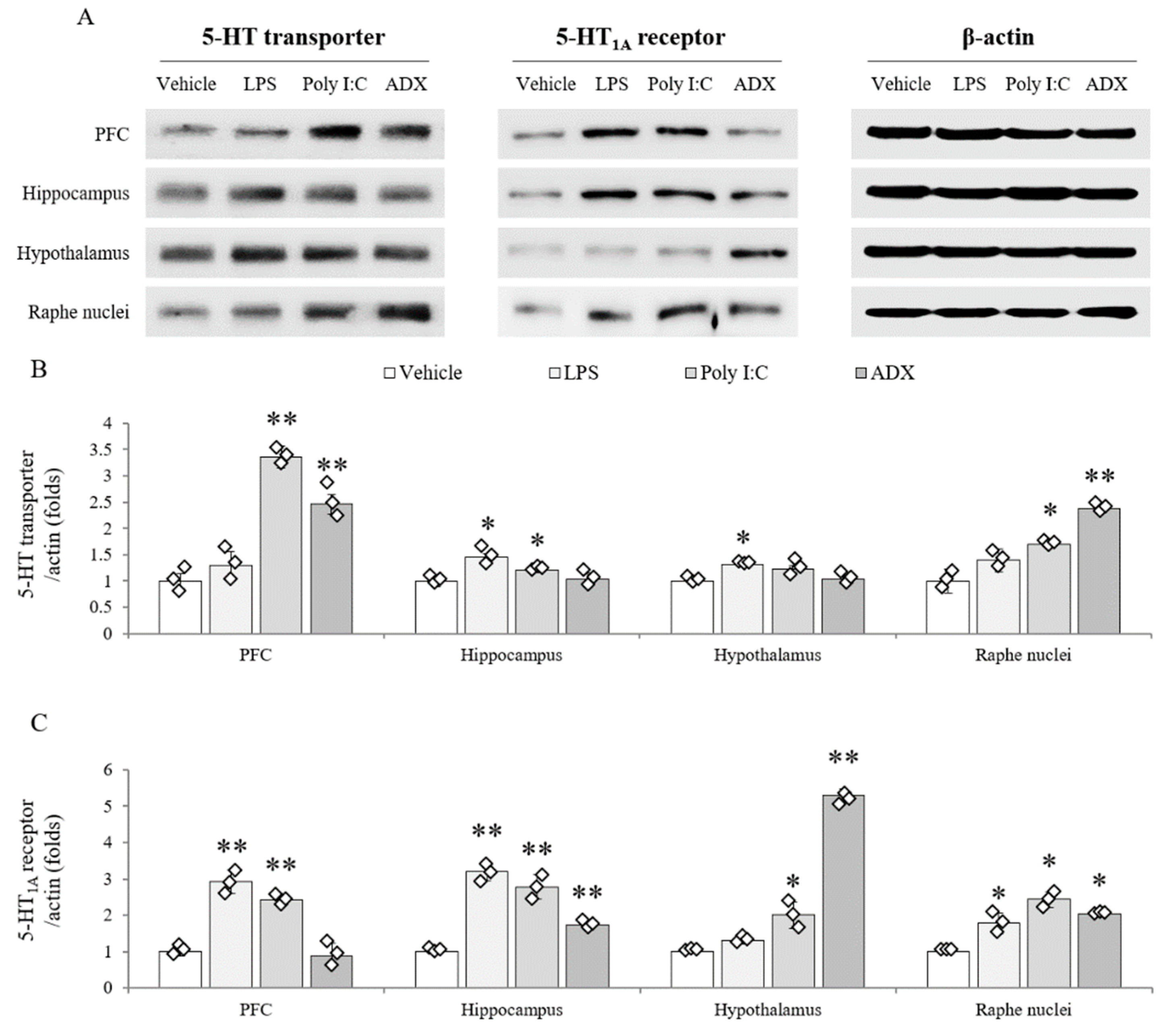 Biomolecules 10 00071 g005