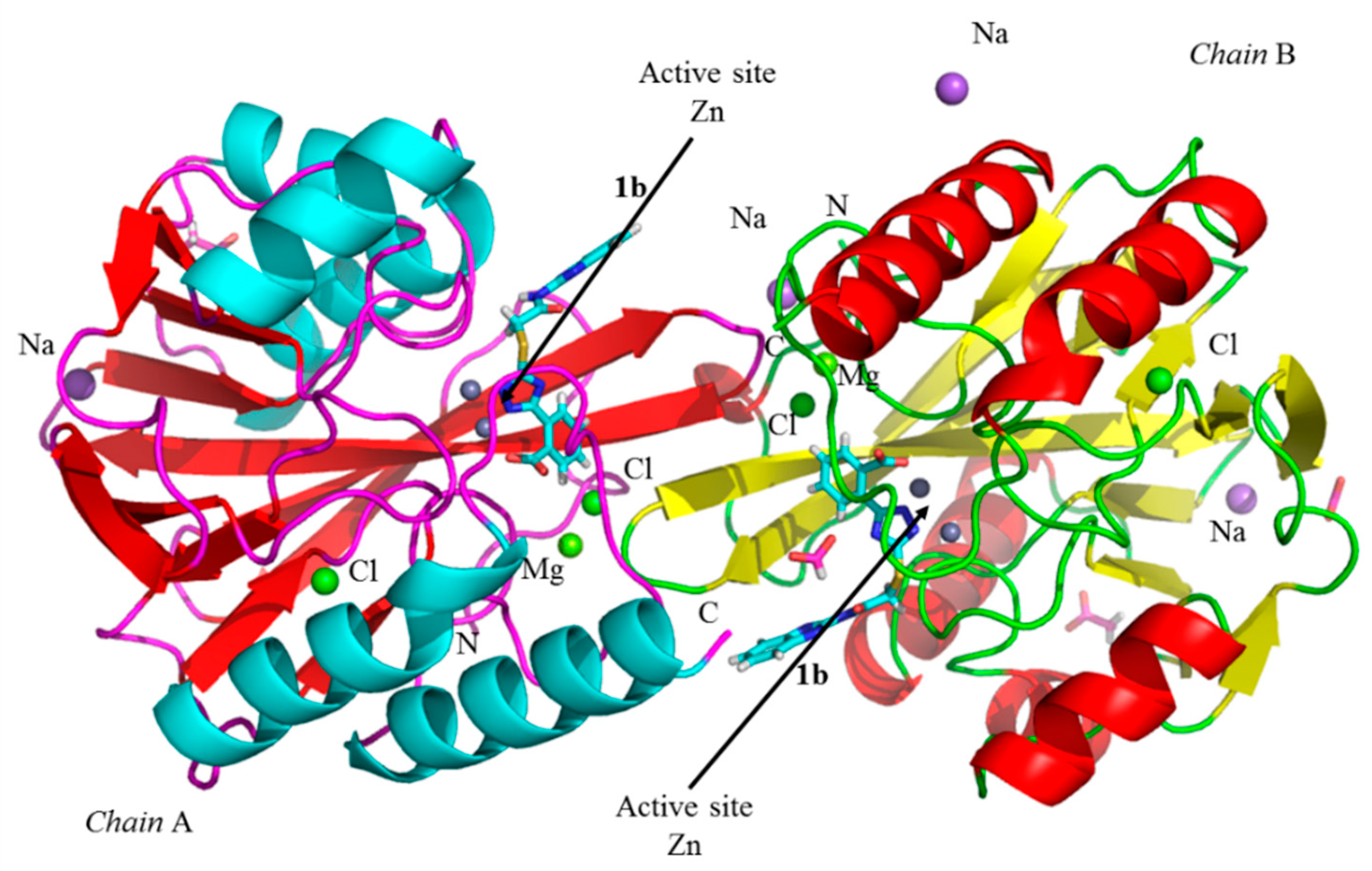 Biomolecules 10 00072 g004