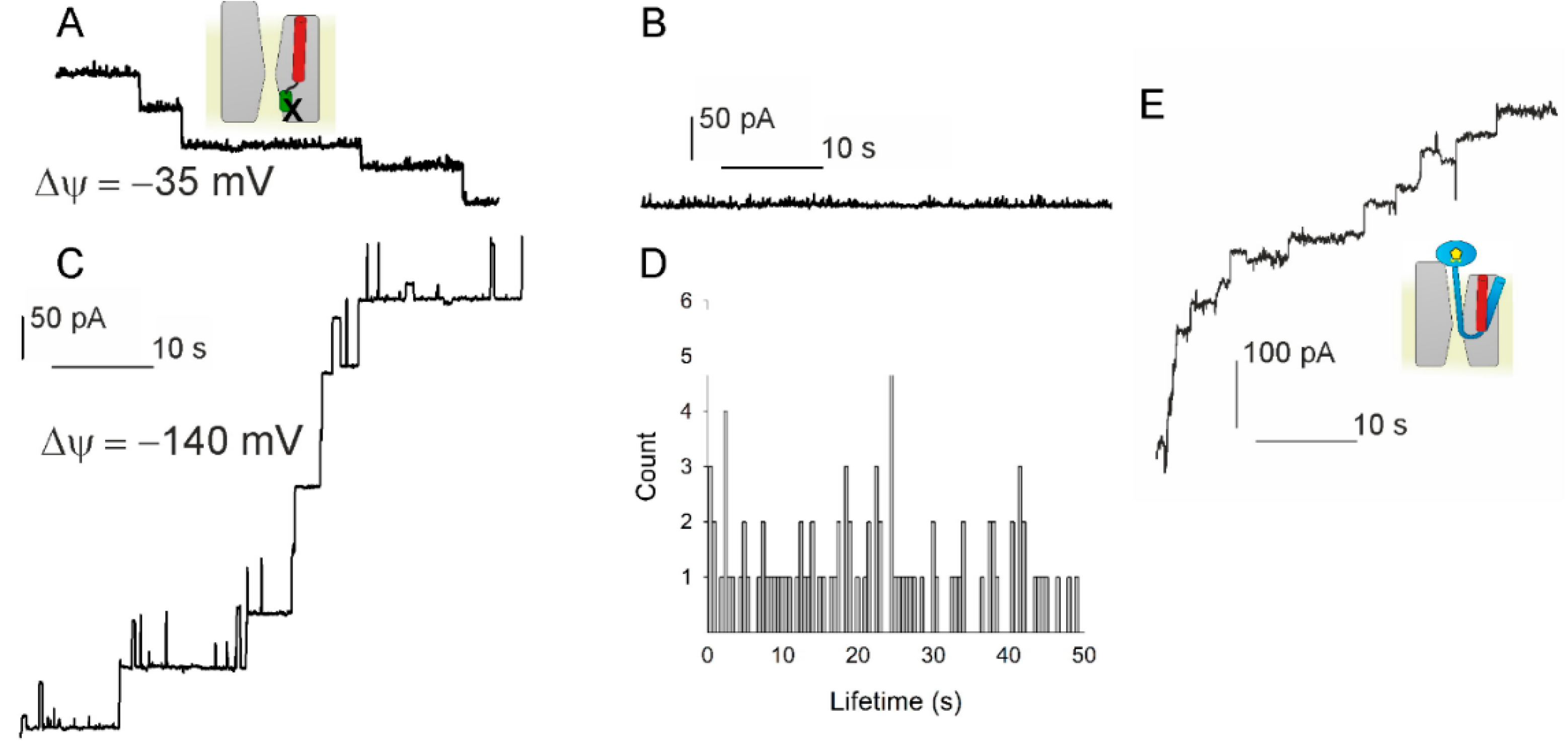 Biomolecules 10 00078 g003 Biomolecules 10 00078 g003