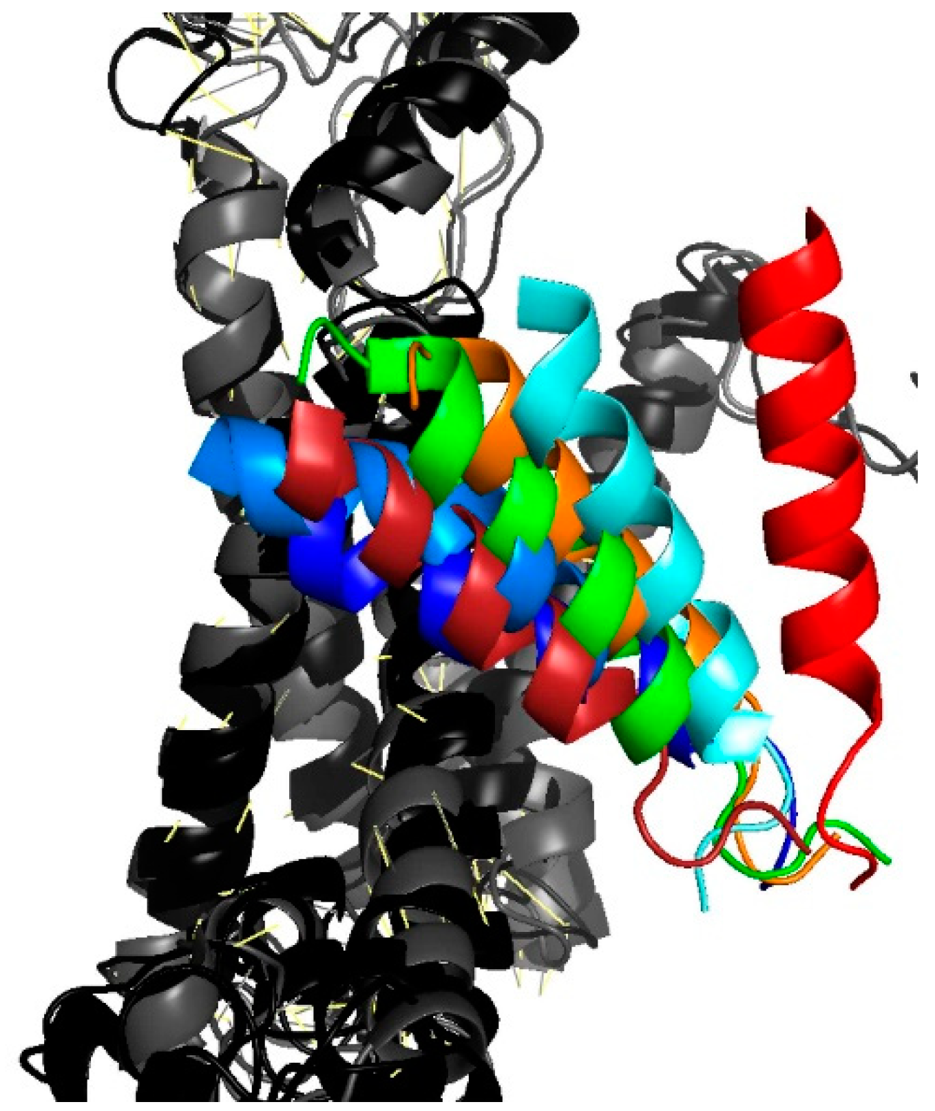 Biomolecules 10 00078 g004 Biomolecules 10 00078 g004