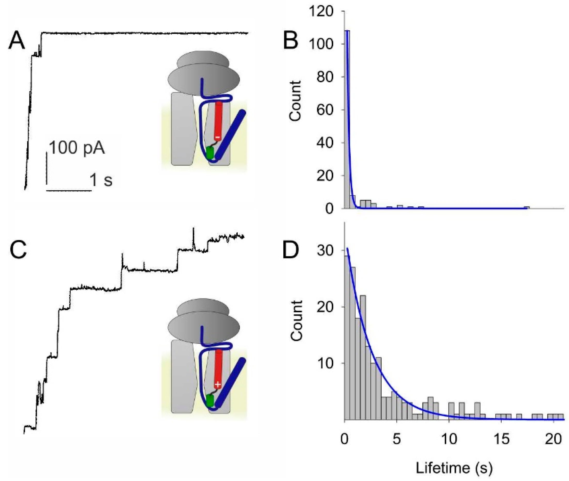 Biomolecules 10 00078 g005 Biomolecules 10 00078 g005