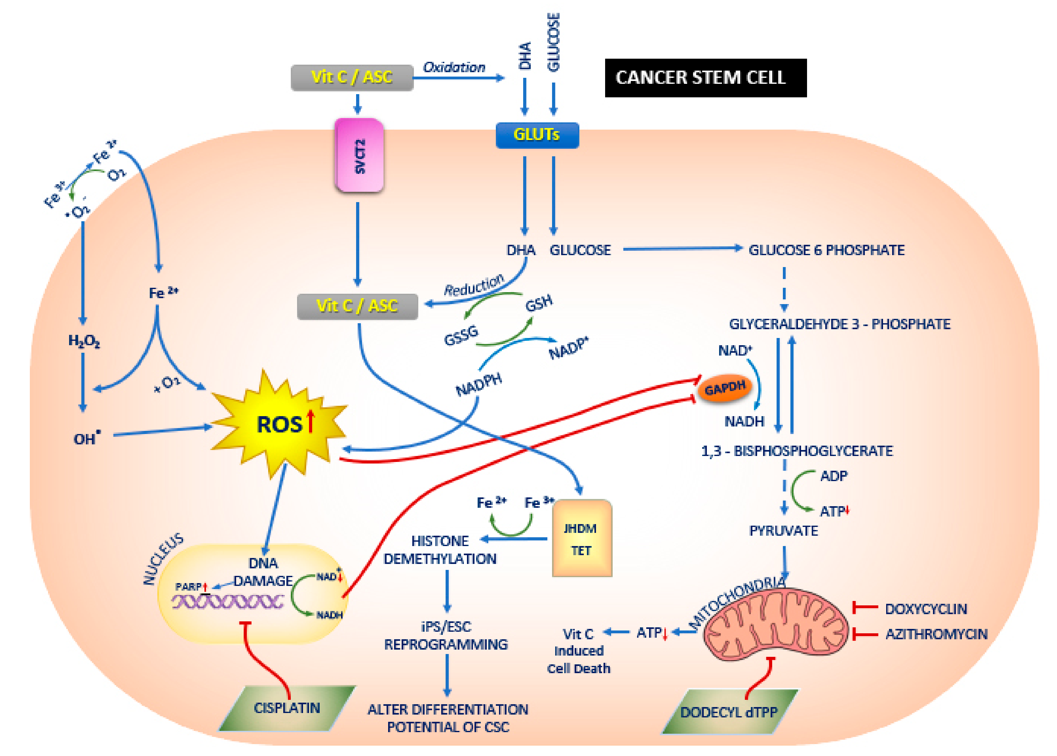 Biomolecules 10 00079 g002