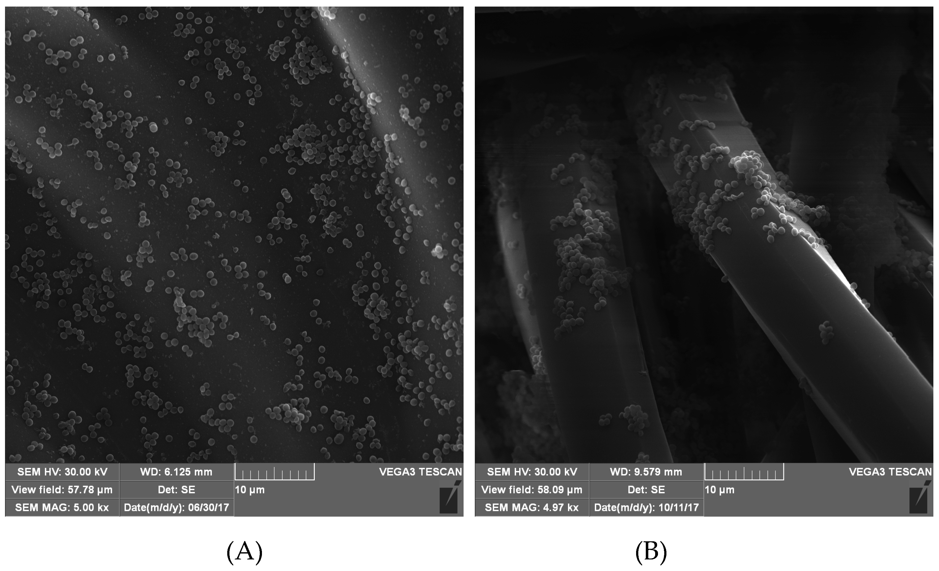 Biomolecules 10 00082 g0a2