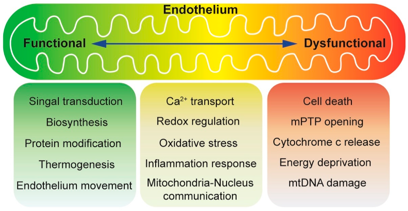 Biomolecules 10 00085 g001 Biomolecules 10 00085 g001