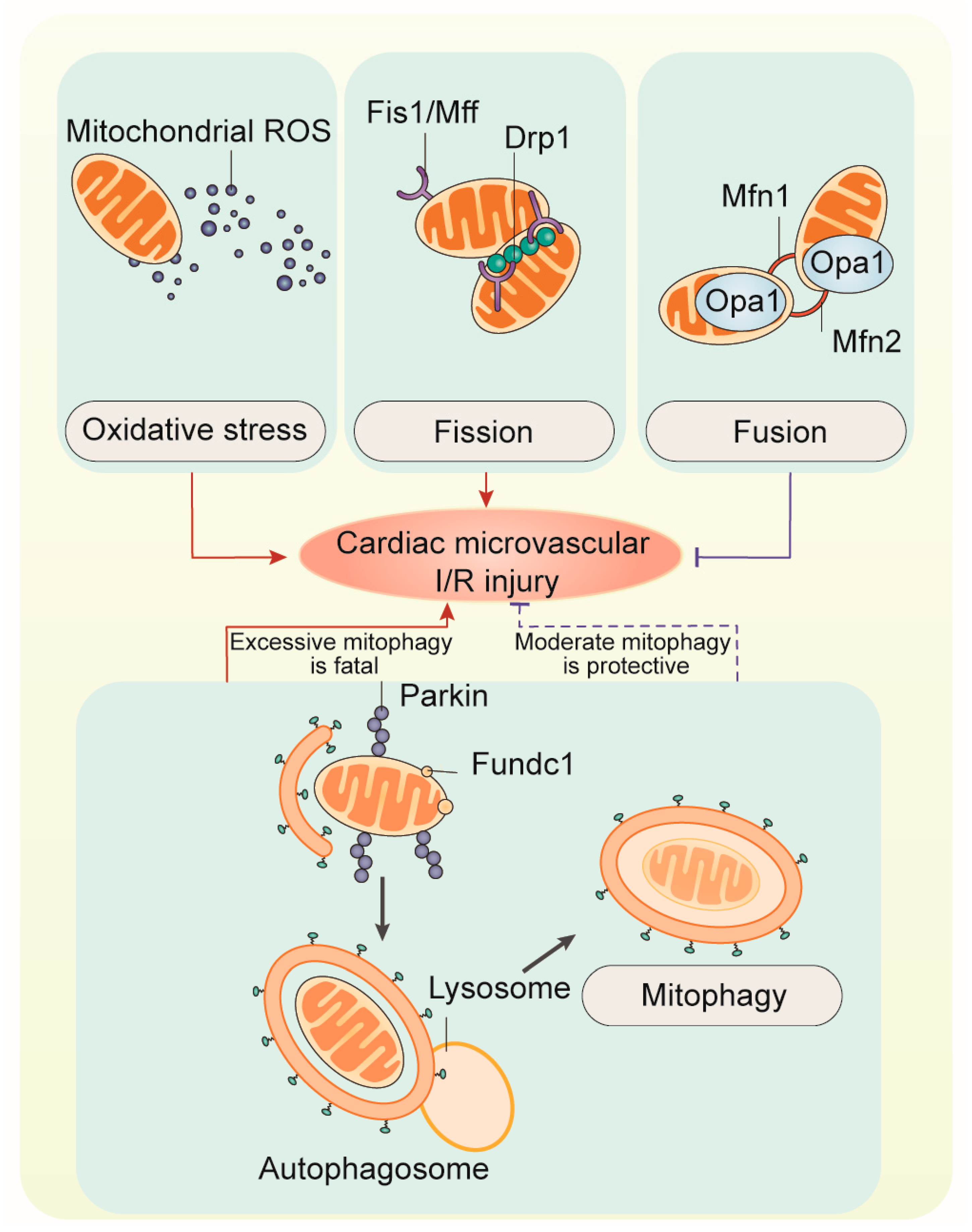 Biomolecules 10 00085 g003 Biomolecules 10 00085 g003