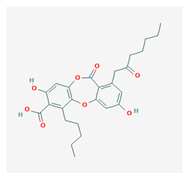 Biomolecules 10 00087 i006