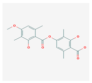 Biomolecules 10 00087 i015