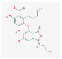 Biomolecules 10 00087 i017