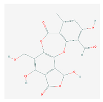 Biomolecules 10 00087 i019