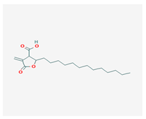 Biomolecules 10 00087 i021